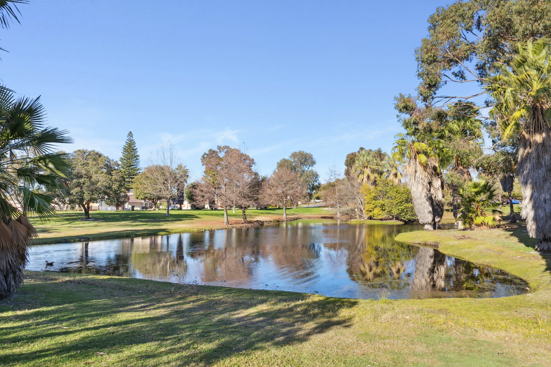 11/13 Grant Place, BENTLEY