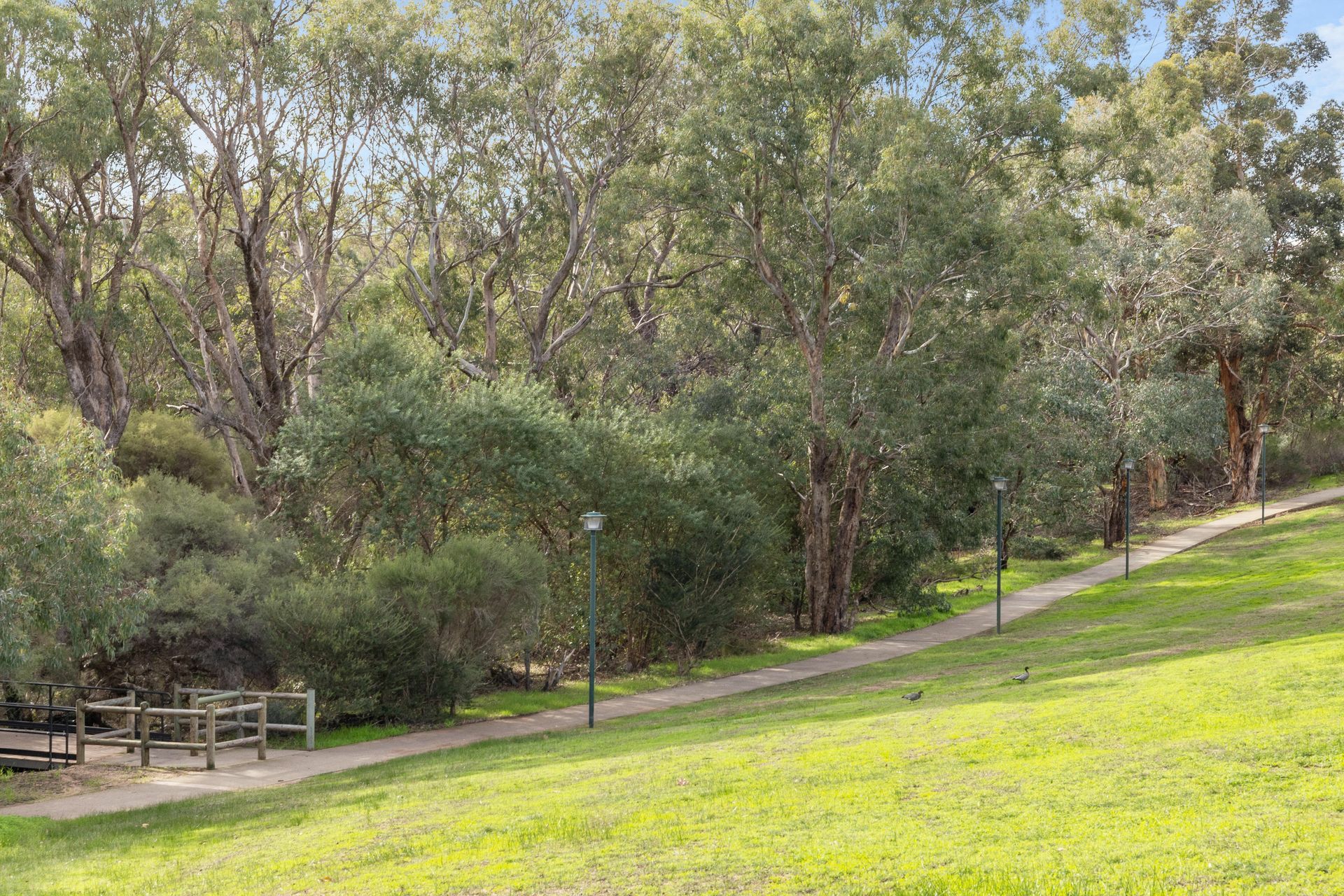 10 Windsor Drive, GOSNELLS