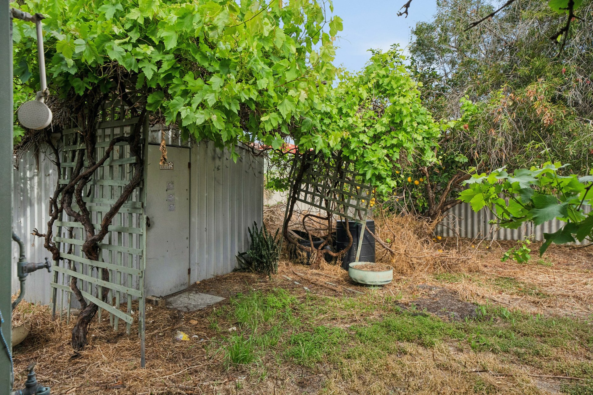 8 Barbel Close — photo 23 of 25