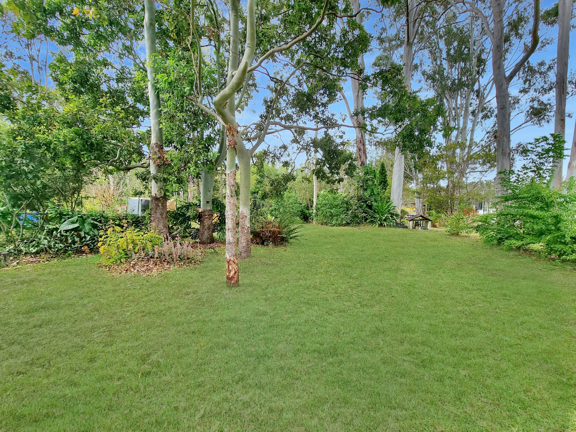 1200 Longlands Gap Road, Wondecla