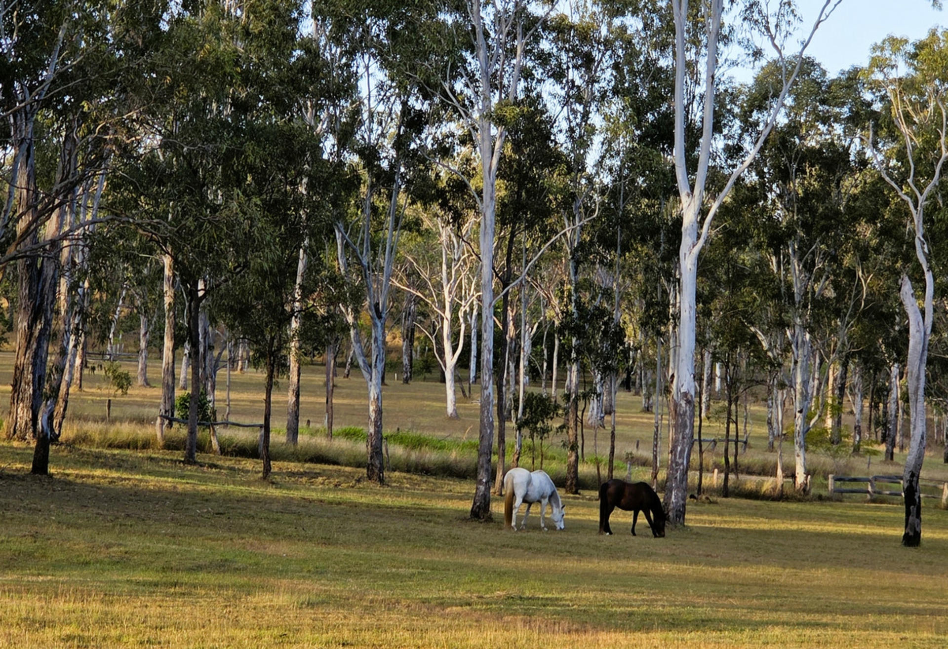 Kalunga, 4887