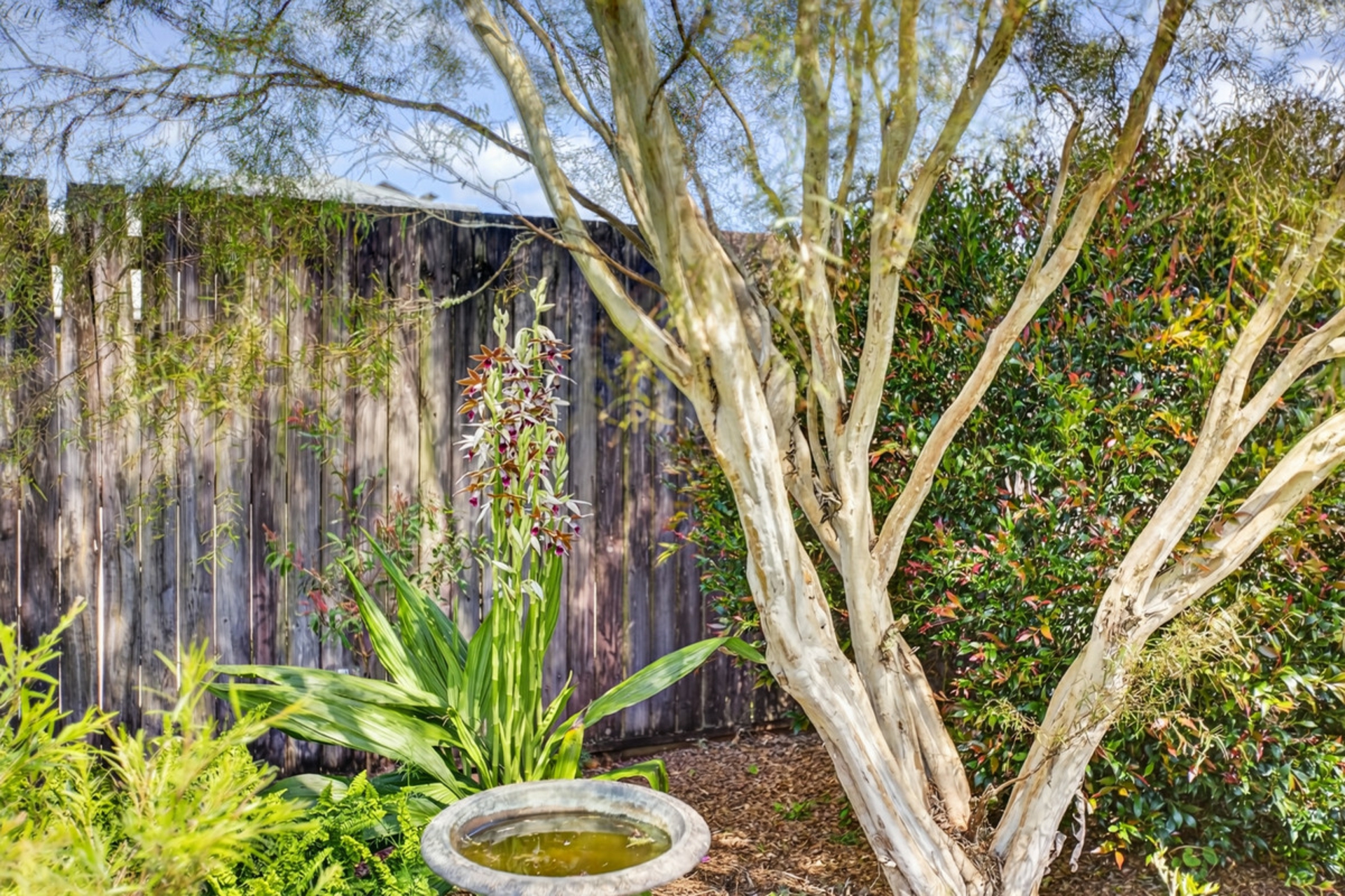 4 Lavender Crescent — photo 24 of 27