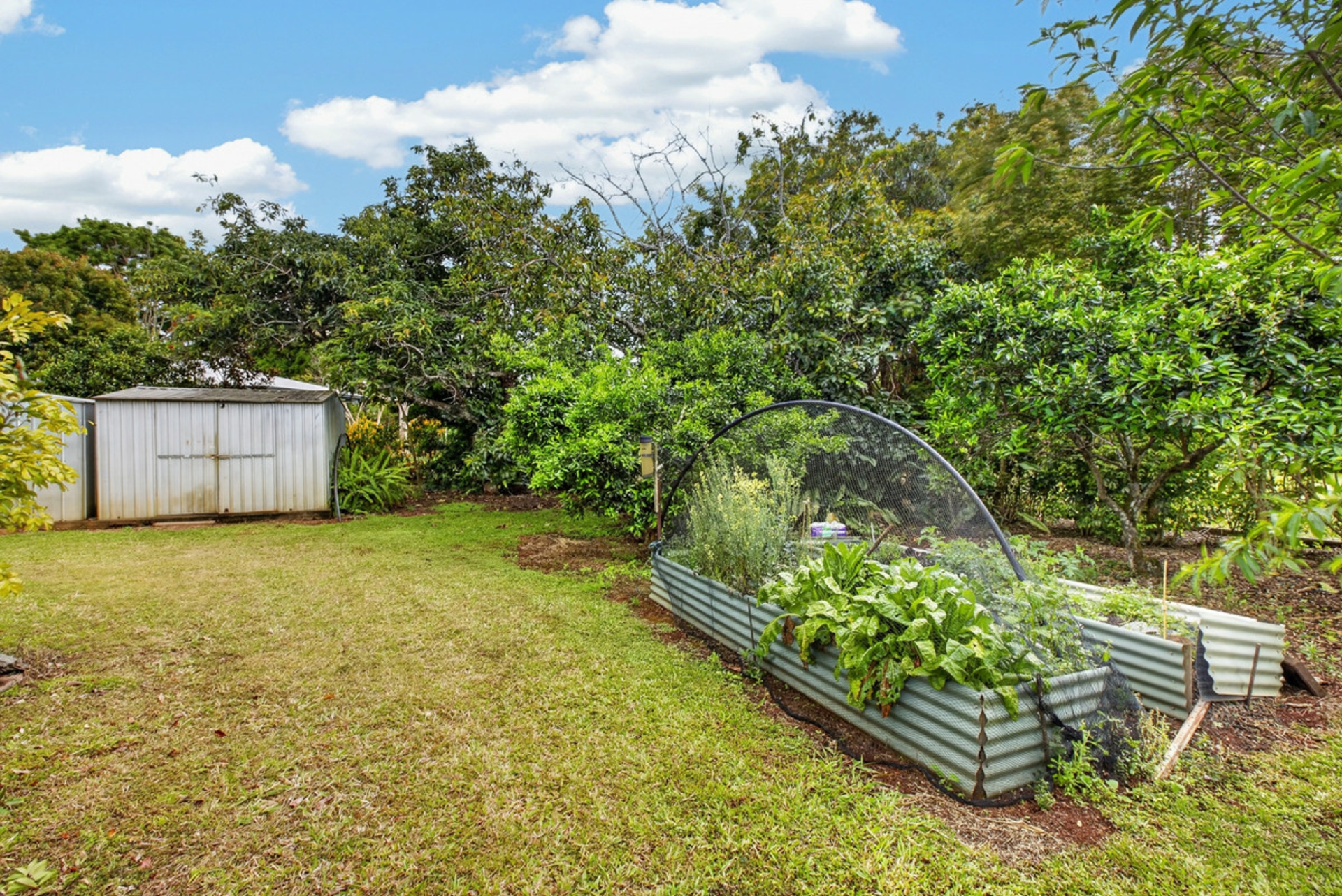 6 Cassia Street — photo 18 of 25