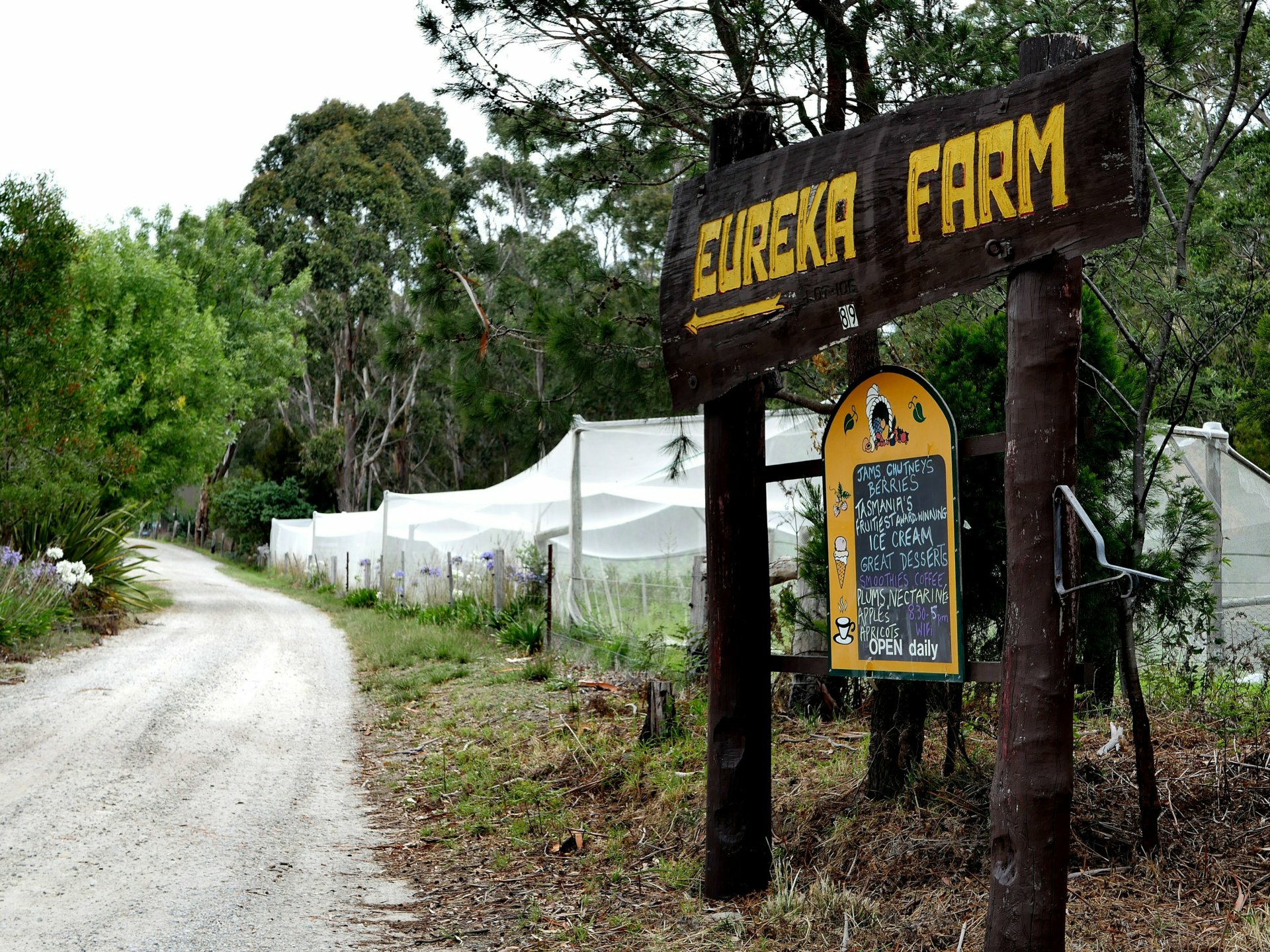 89 Upper Scamander Road Scamander TAS House for Sale LJ Hooker