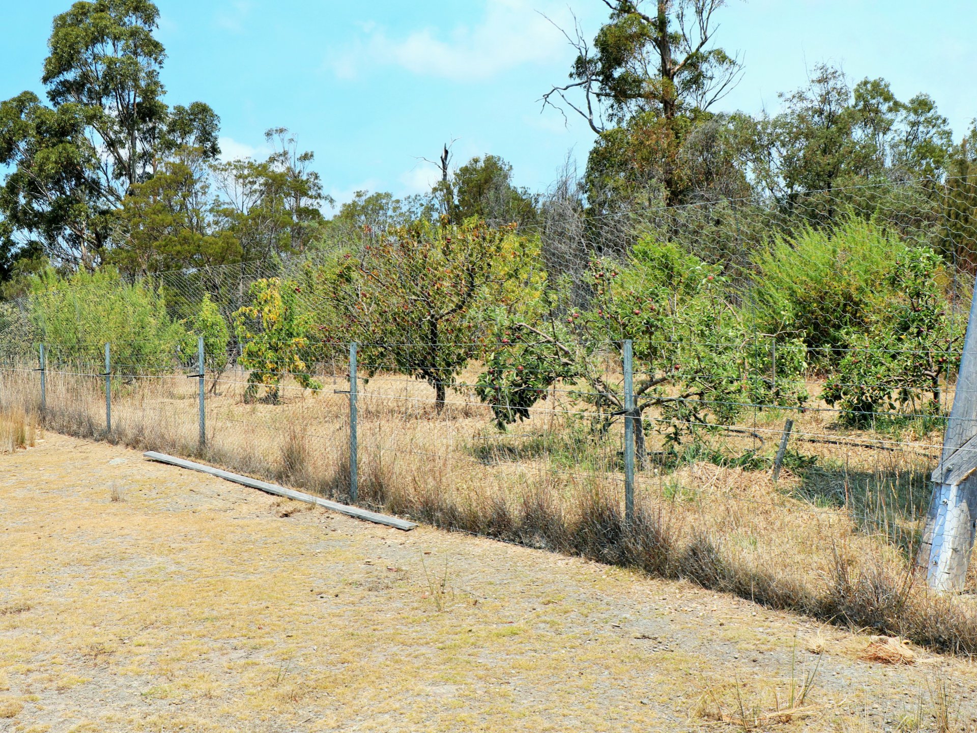 21921 Tasman Highway, FOUR MILE CREEK