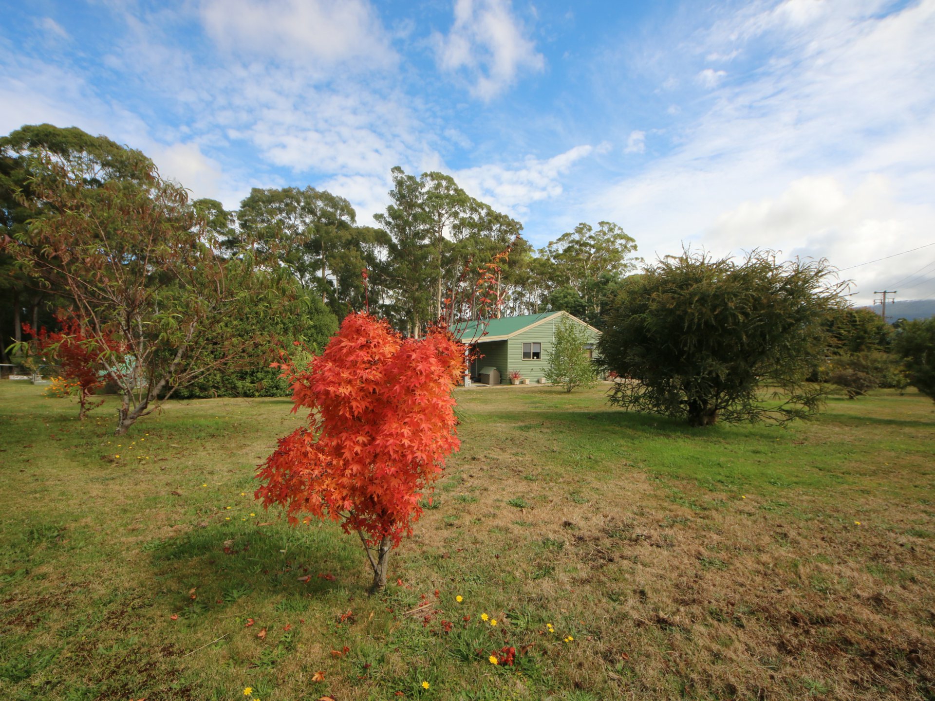 14 Gray Road, ST MARYS