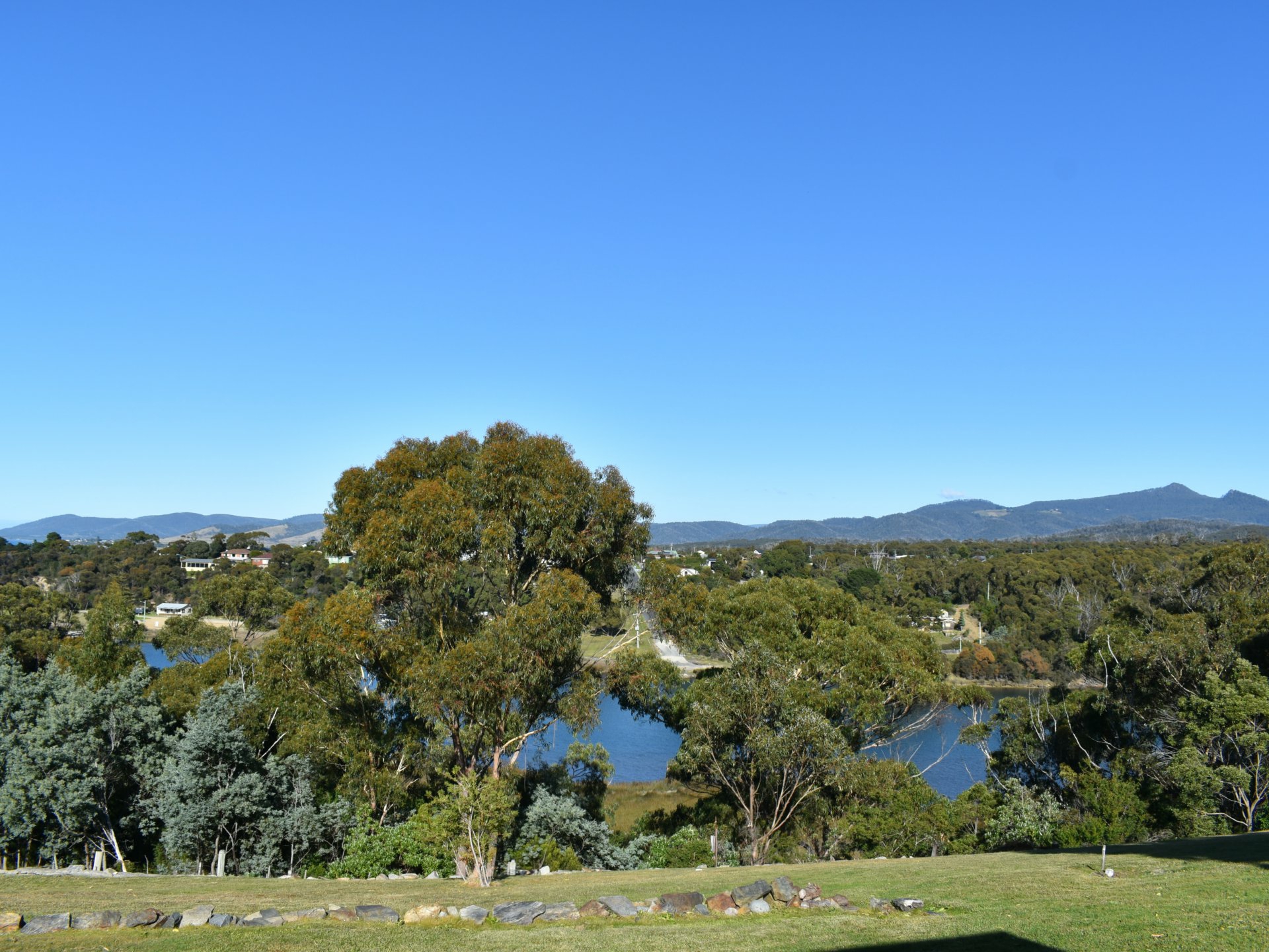 17 Thomas Street, SCAMANDER