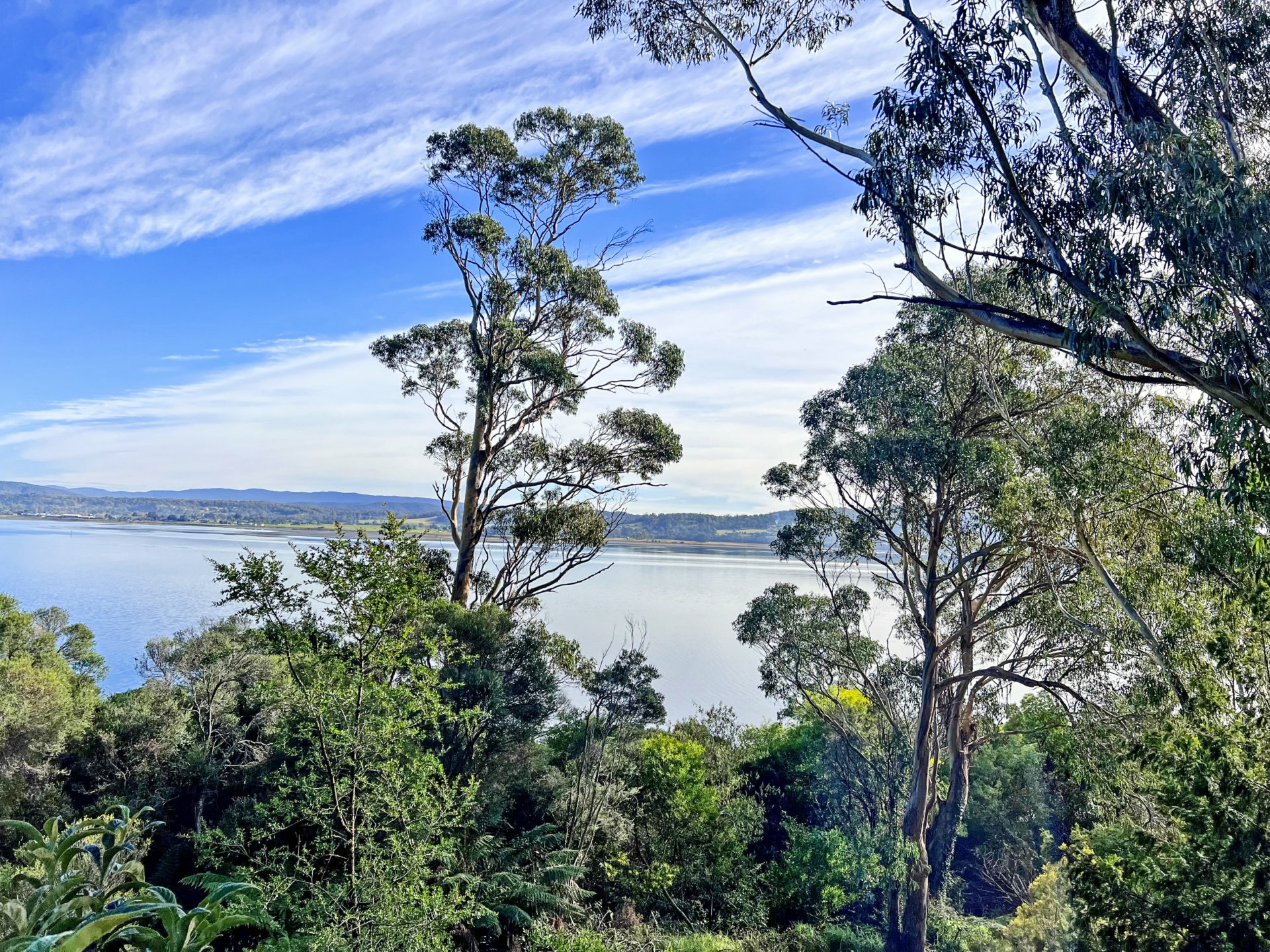 65 St Helens Point Road, STIEGLITZ