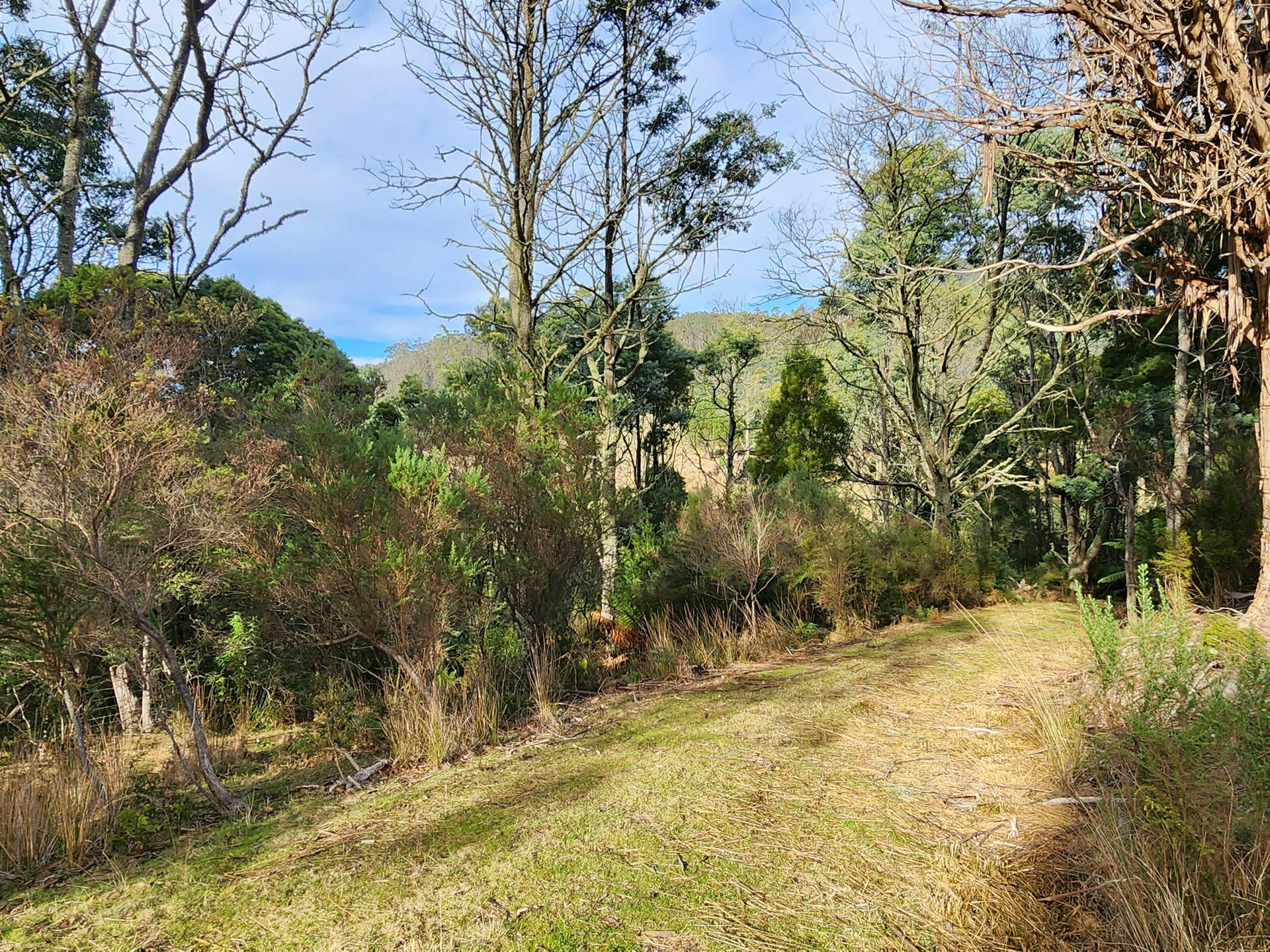 512 Irish Town Road, ST MARYS