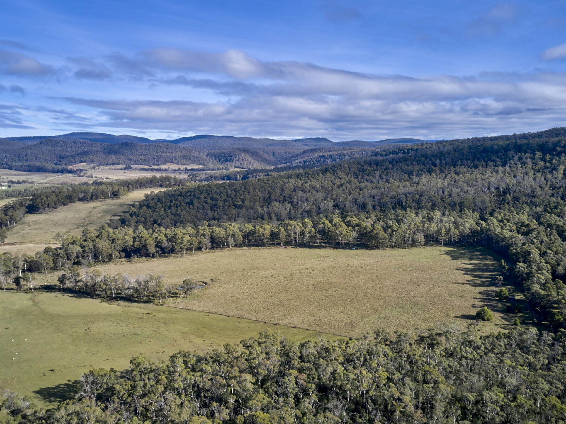 Lot 1/233 Ferndale Road Bicheno TAS Other for Sale LJ Hooker