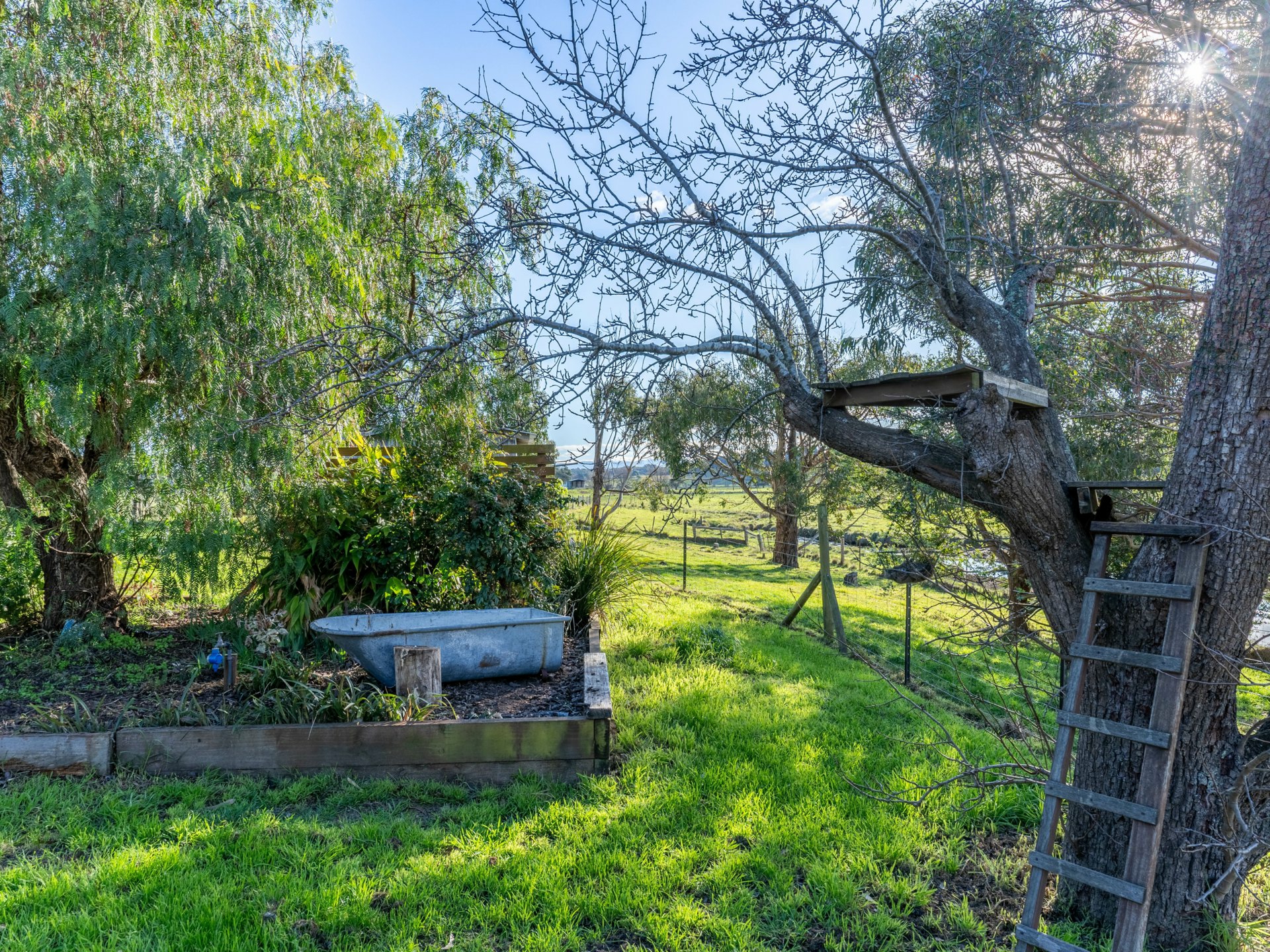 137 Binalong Bay Road, ST HELENS