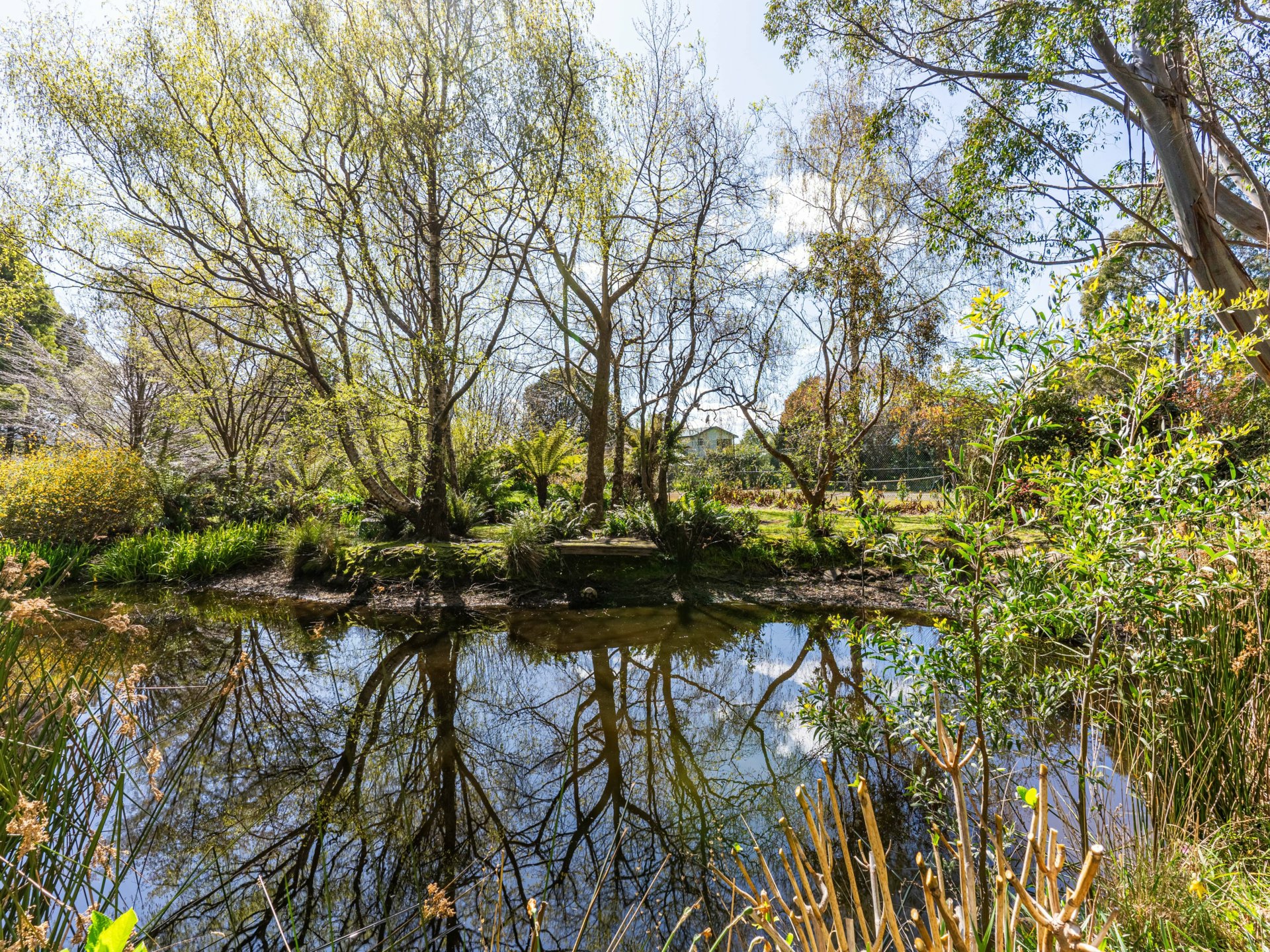 497 Lottah Road, GOULDS COUNTRY