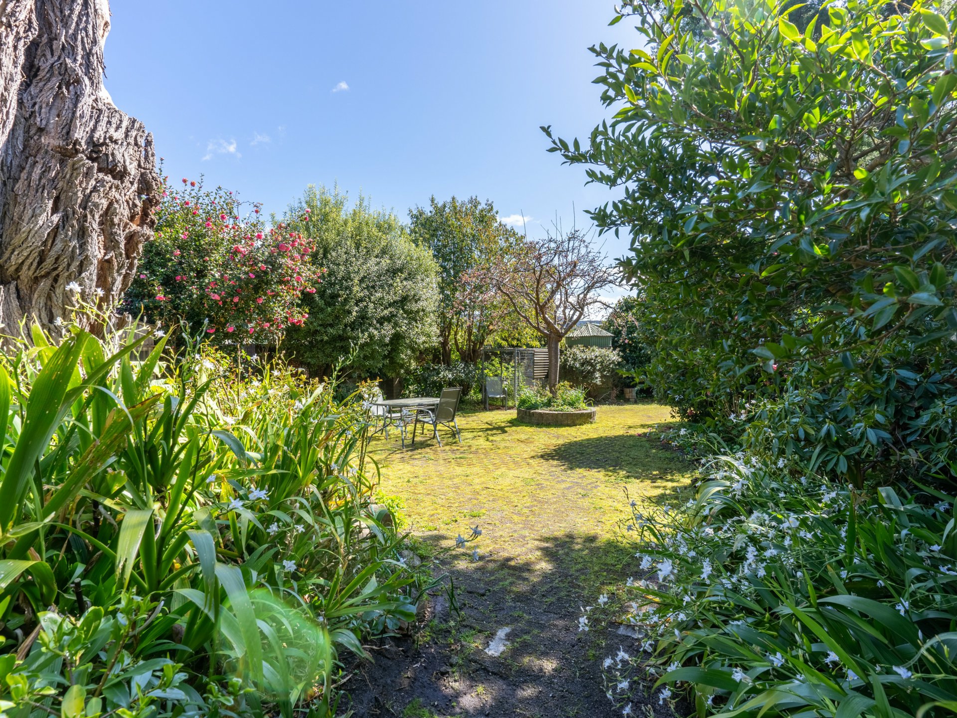 497 Lottah Road, GOULDS COUNTRY