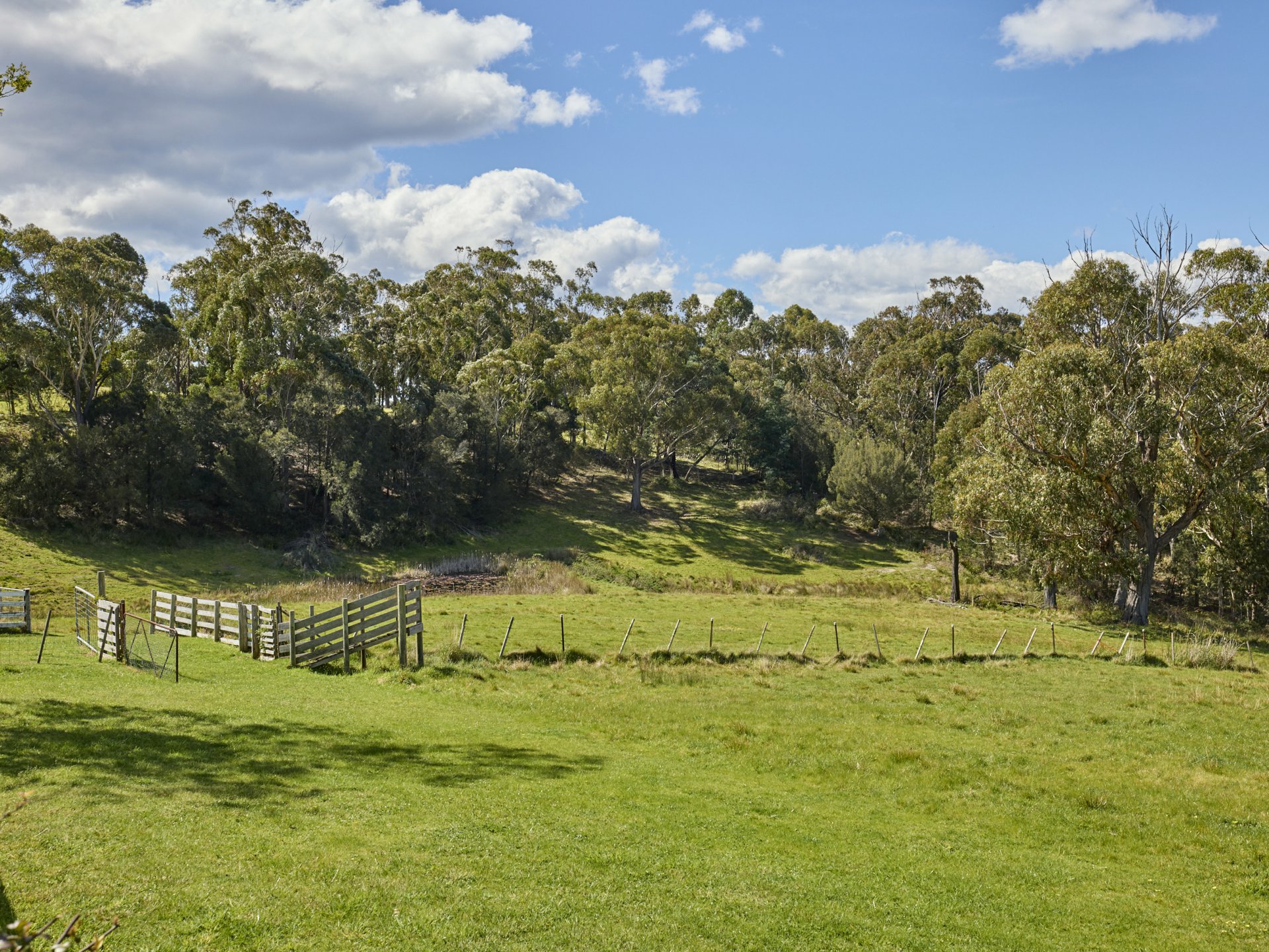 25598 Tasman Highway, ST HELENS