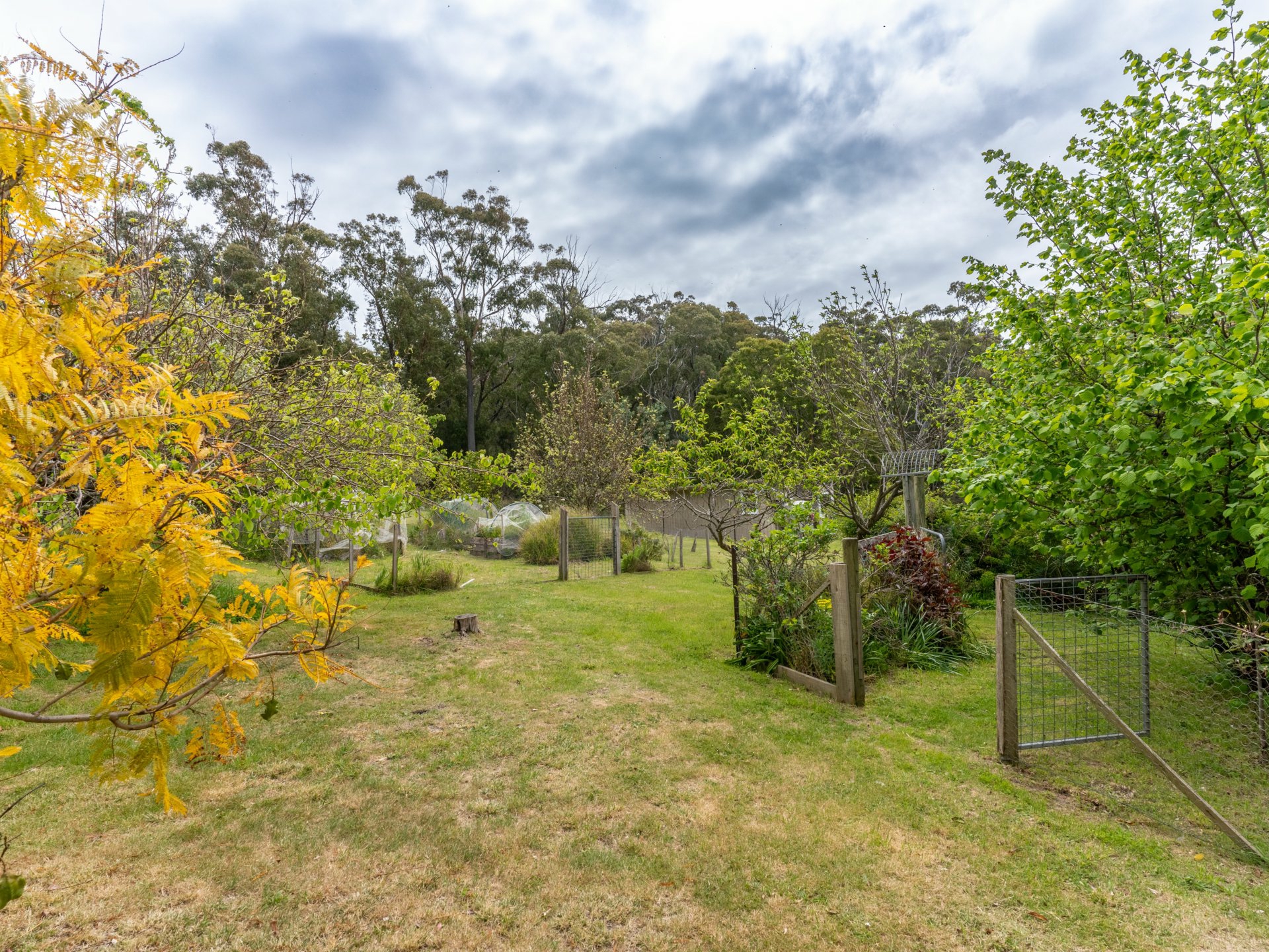 25598 Tasman Highway, ST HELENS