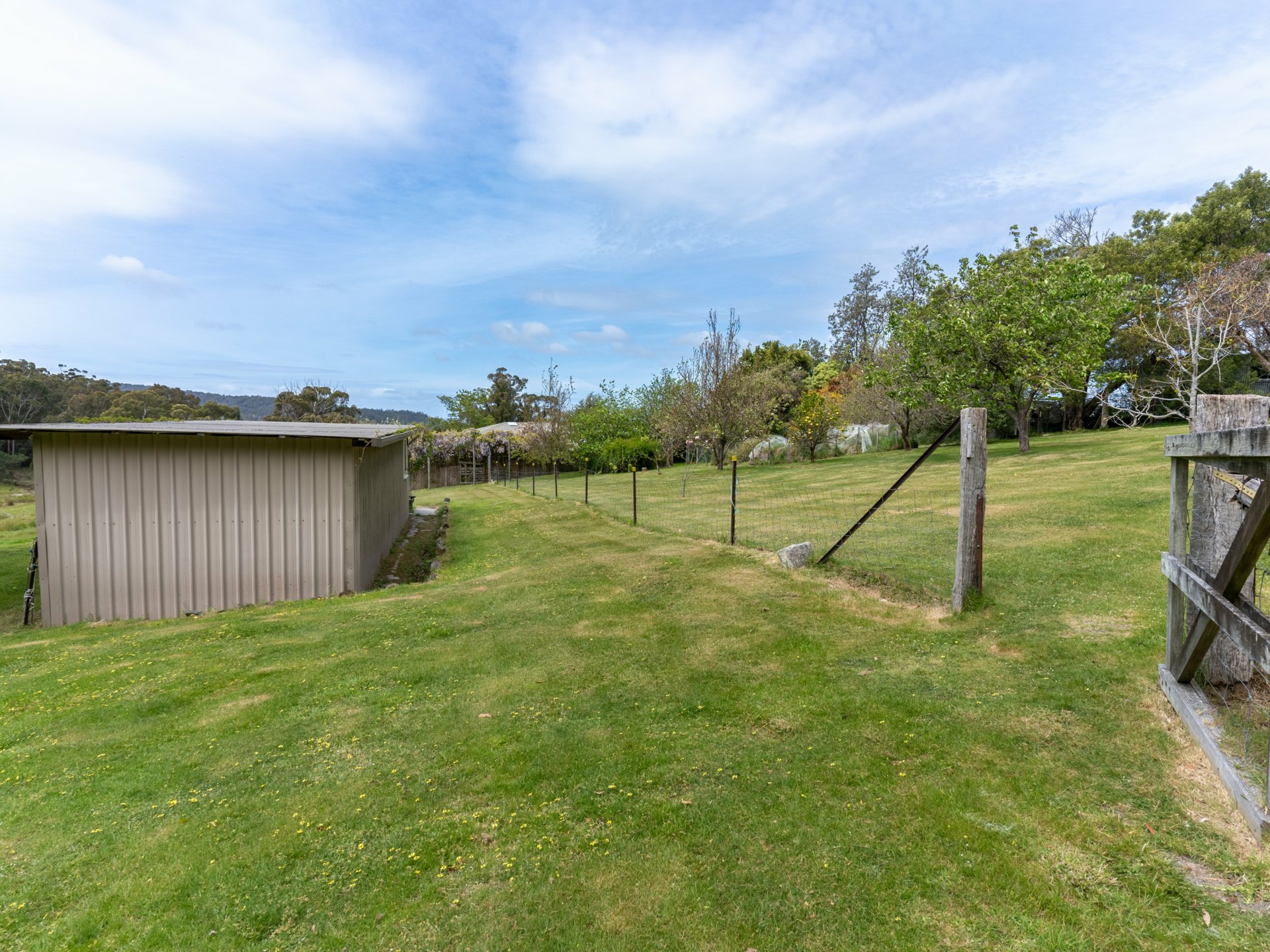 25598 Tasman Highway, ST HELENS