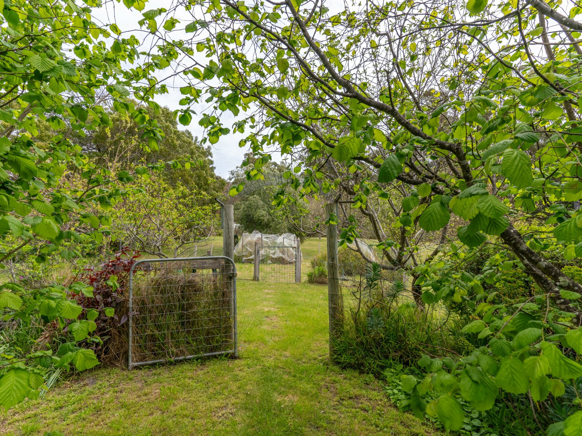25598 Tasman Highway, ST HELENS