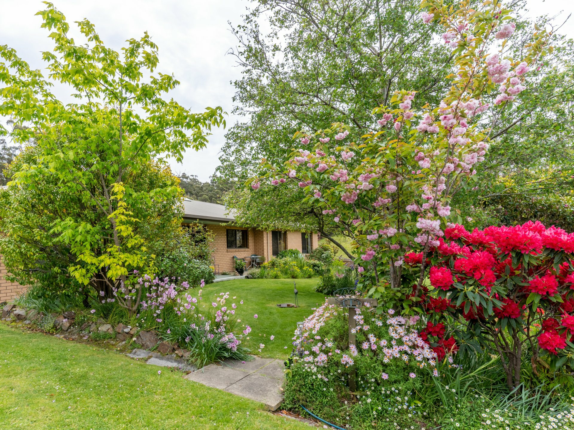 25598 Tasman Highway, ST HELENS