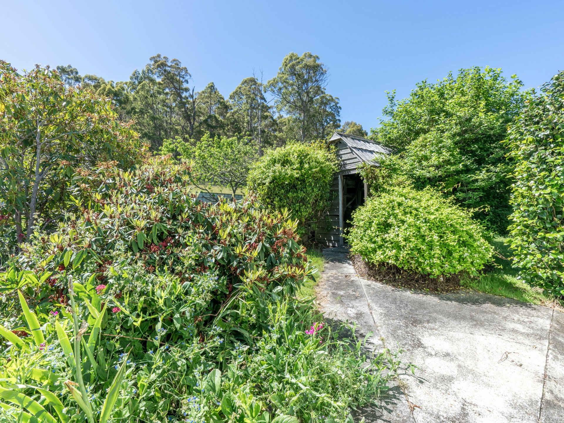 23 Newman Street, ST MARYS