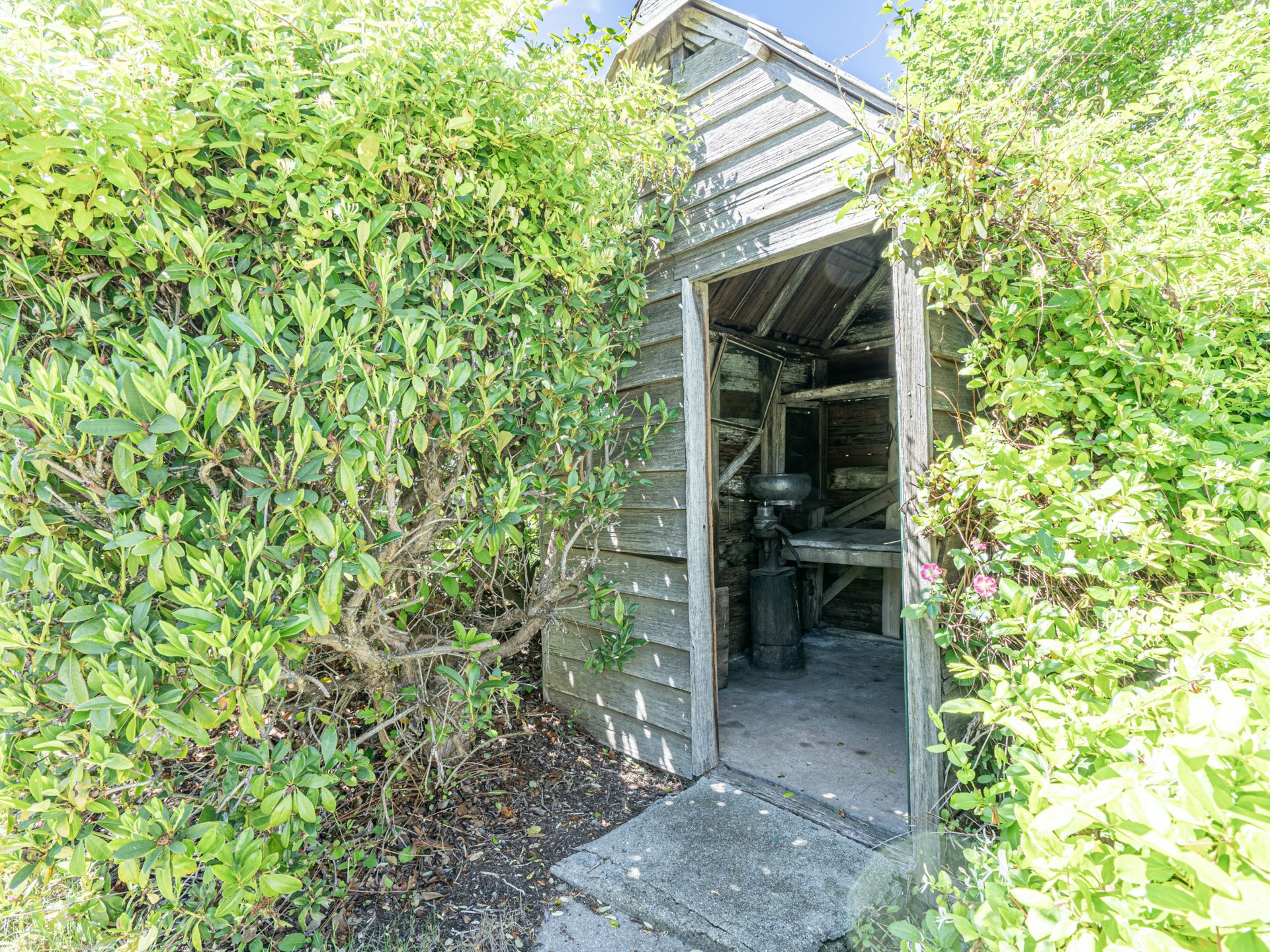 23 Newman Street, ST MARYS