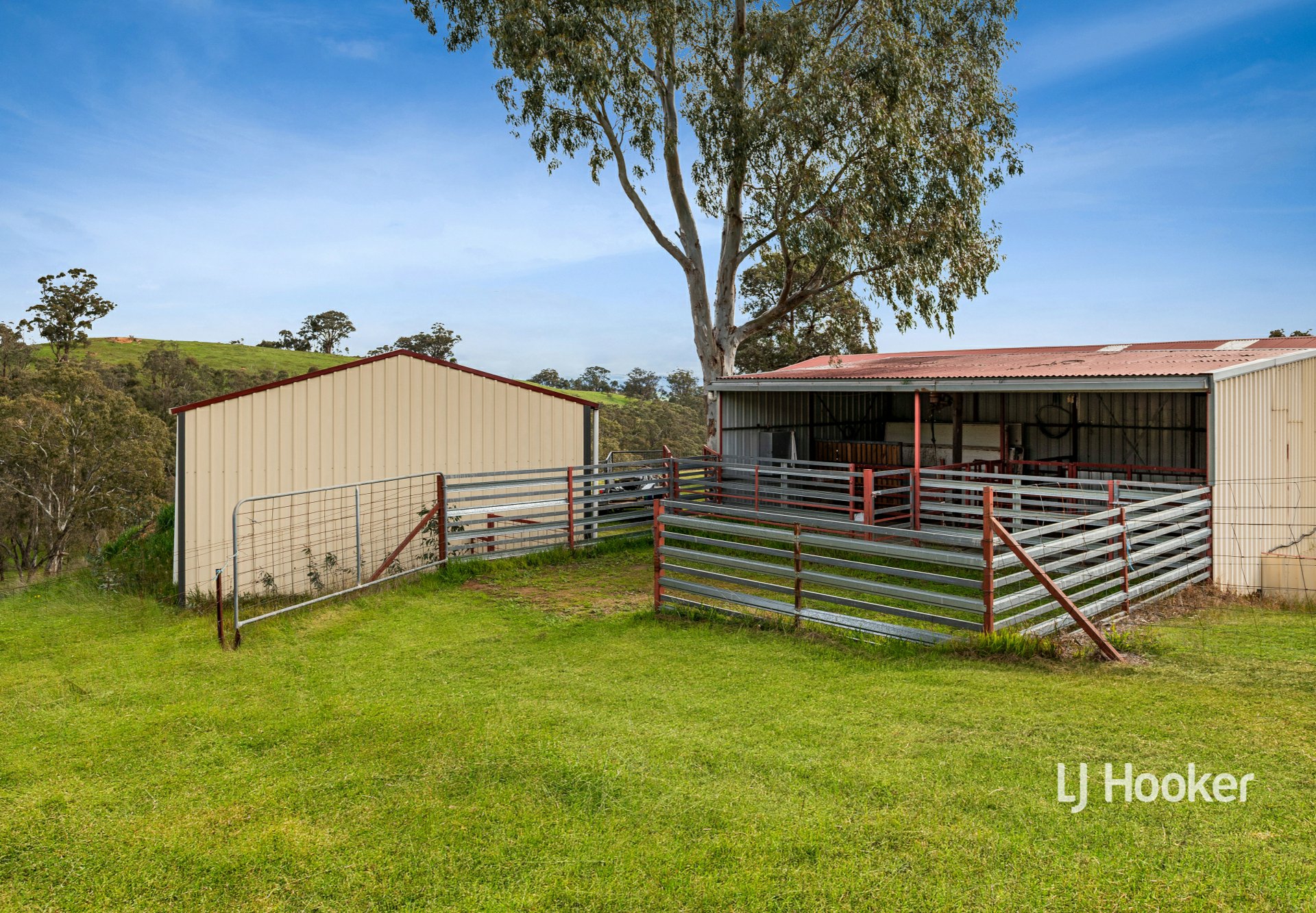 25 Elliotts Road — photo 16 of 24
