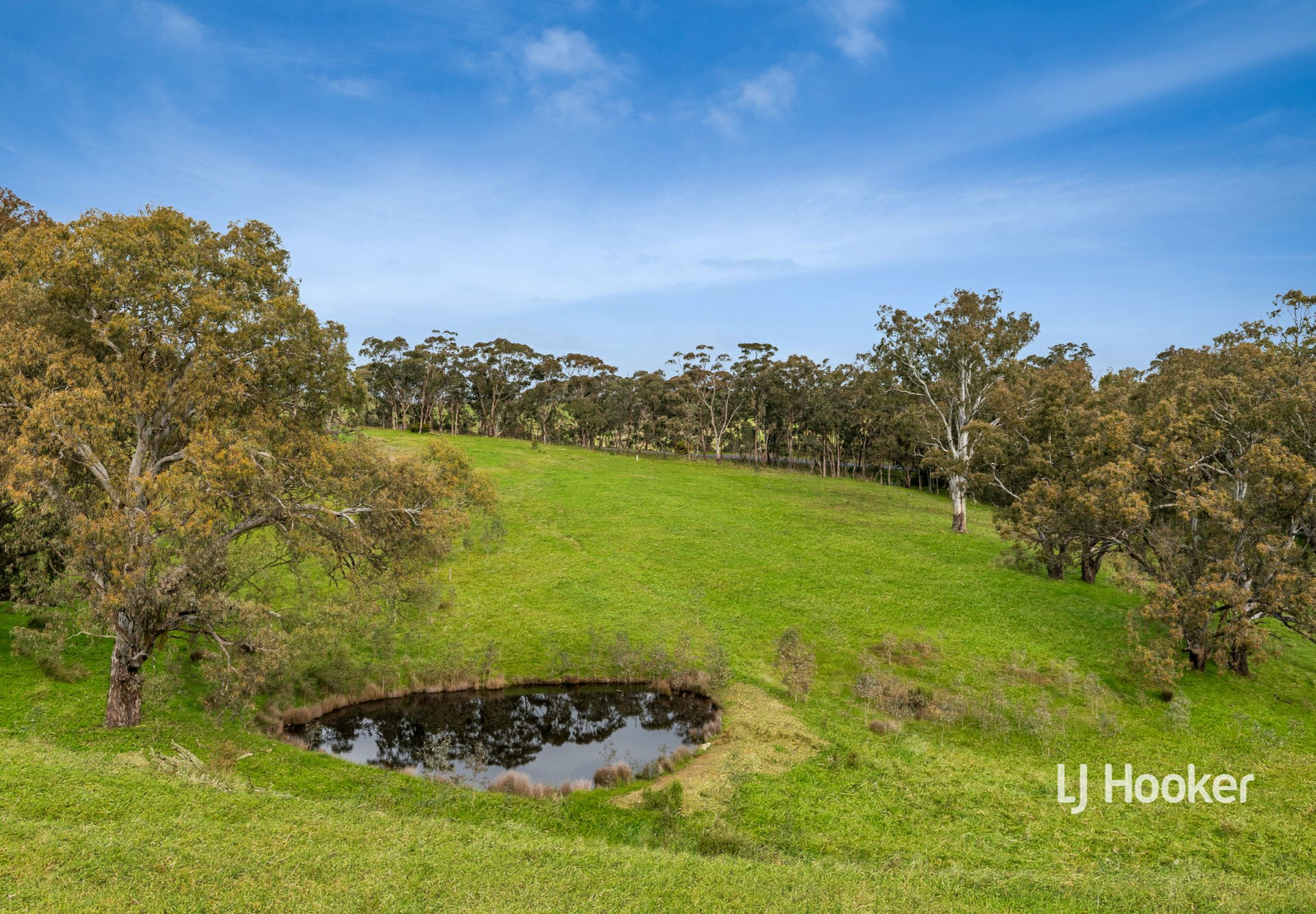 25 Elliotts Road — photo 18 of 24
