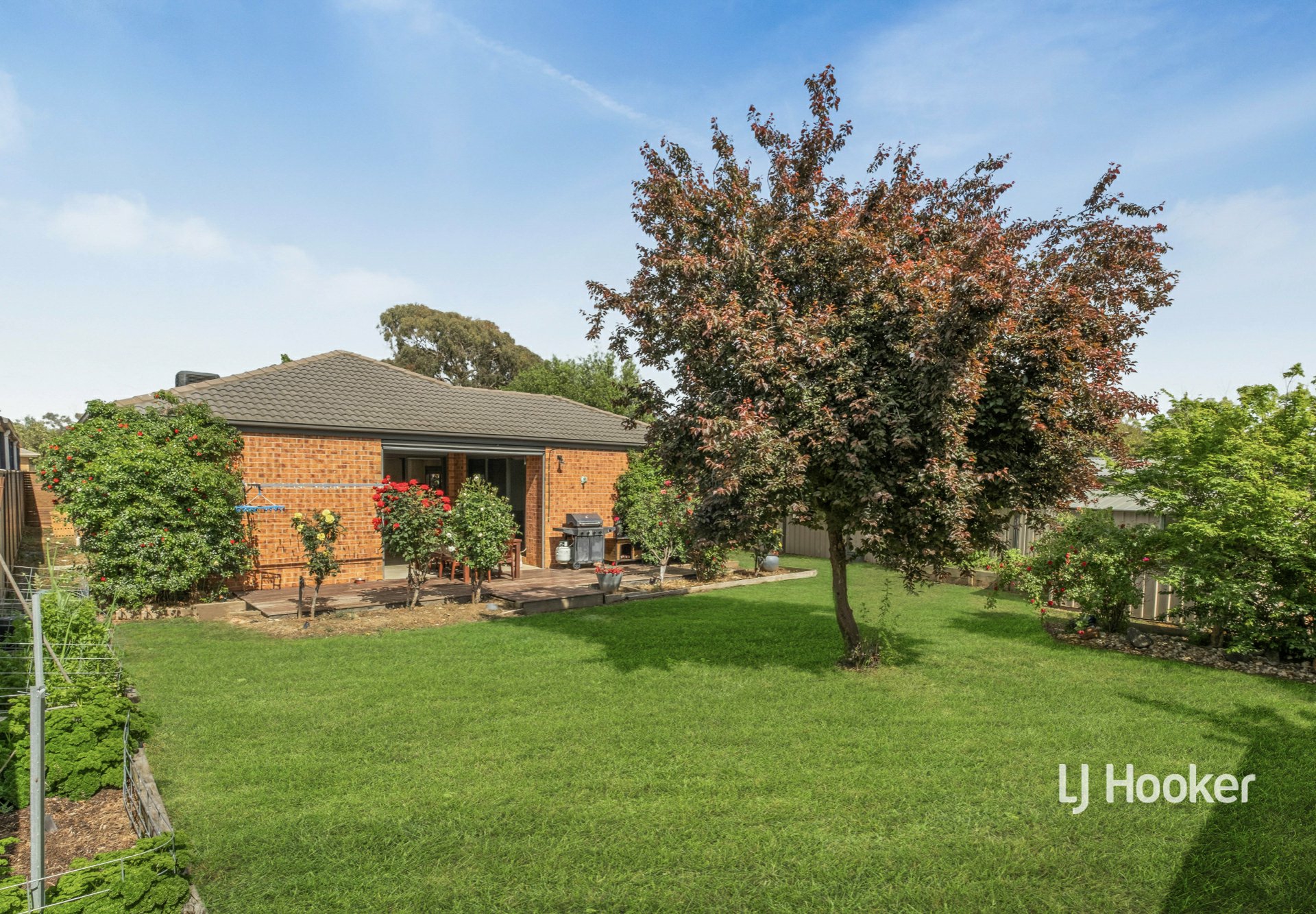4 Greenwood Rise — photo 12 of 15