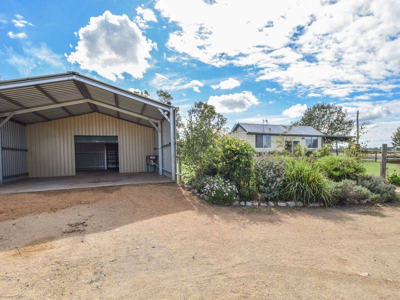 163 Prunvale Rd, YOUNG