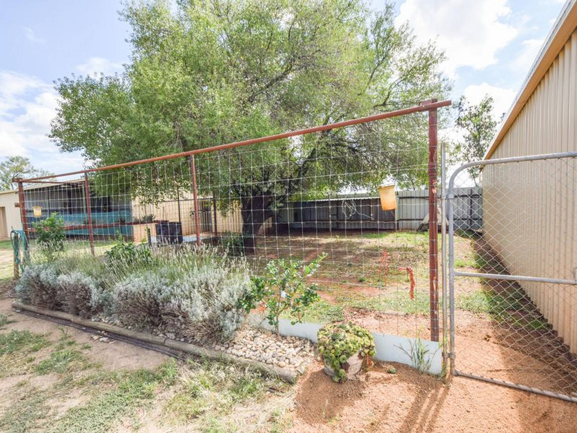 163 Prunvale Rd, YOUNG