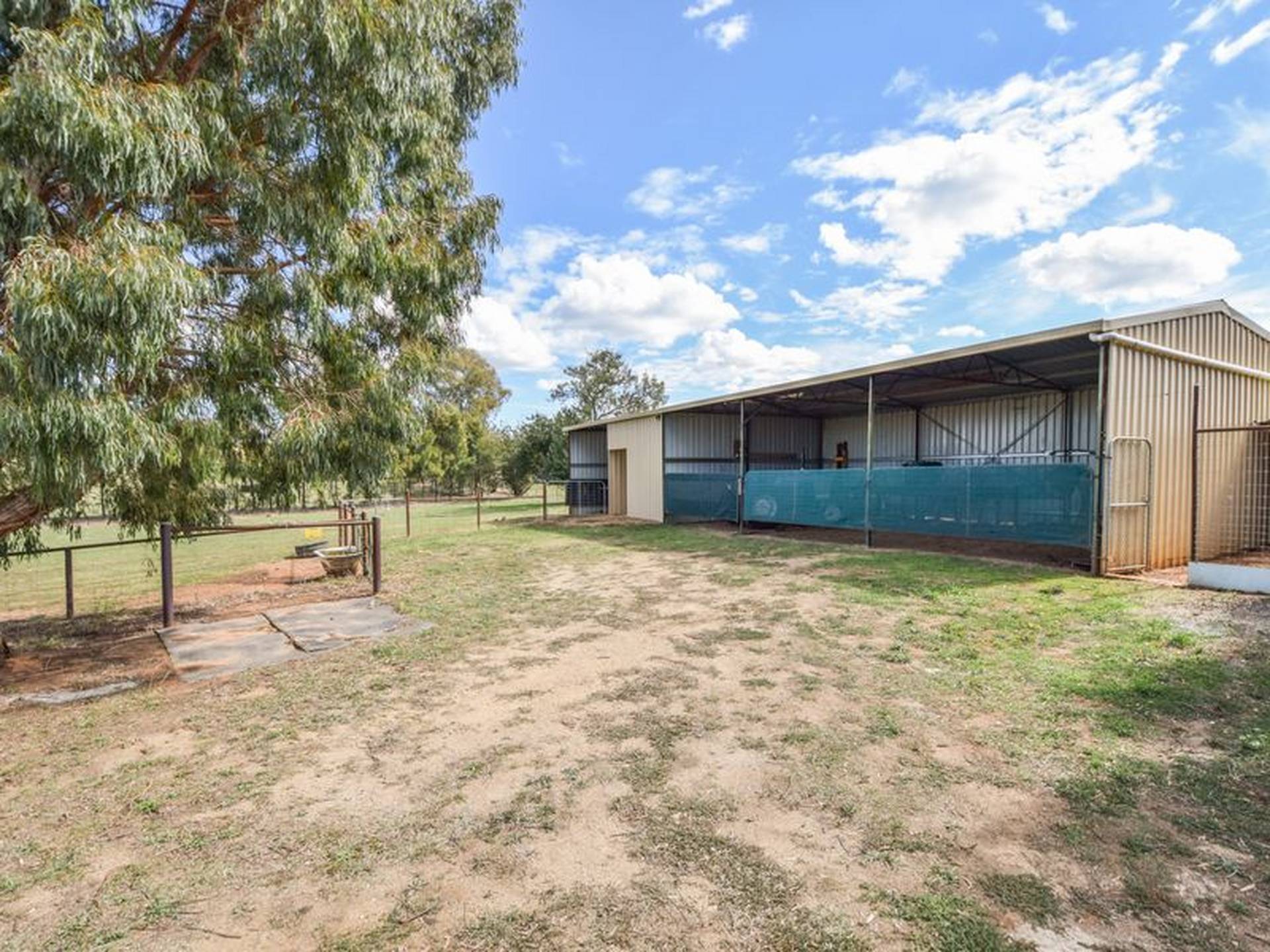 163 Prunvale Rd, YOUNG