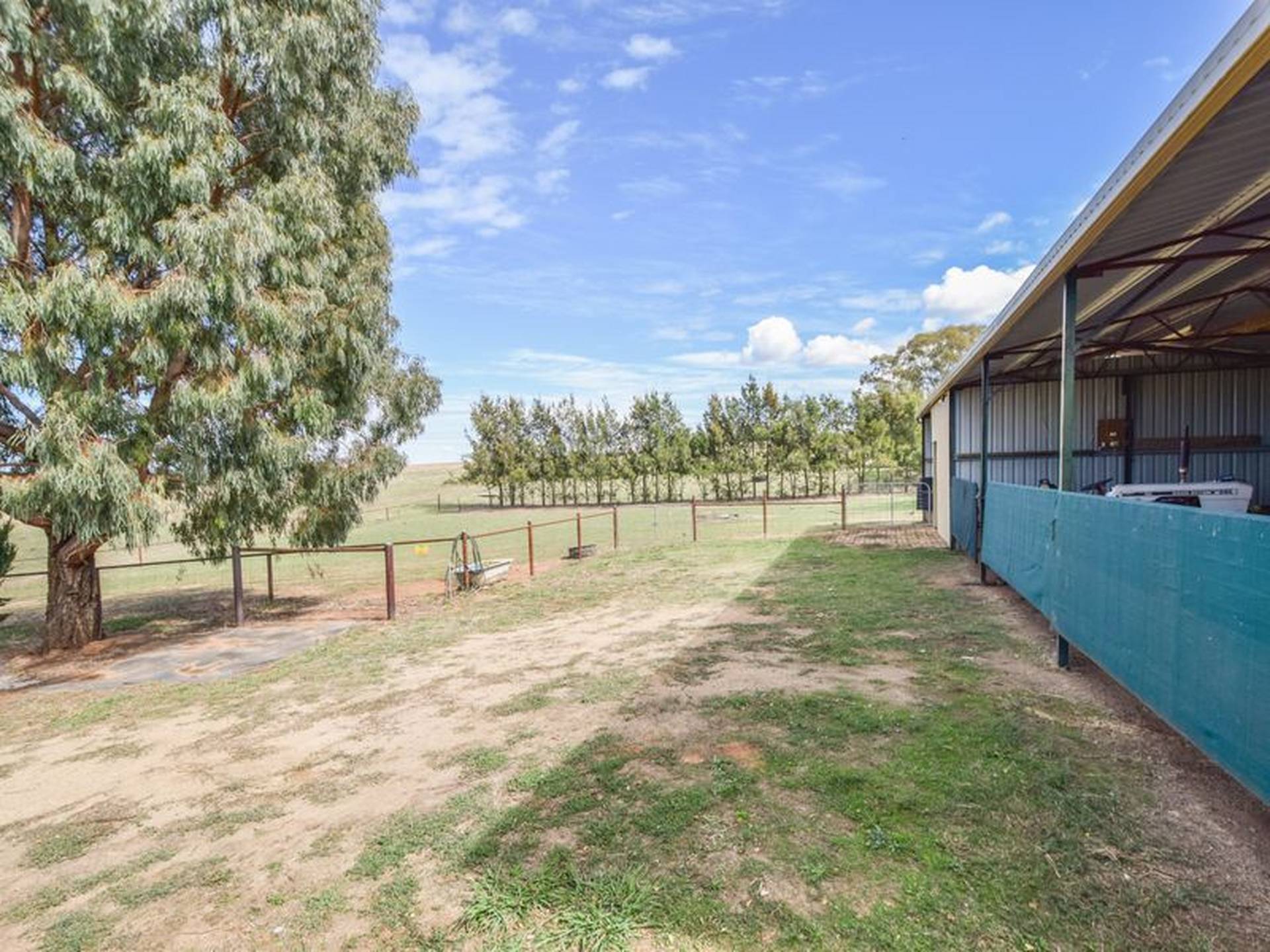 163 Prunvale Rd, YOUNG