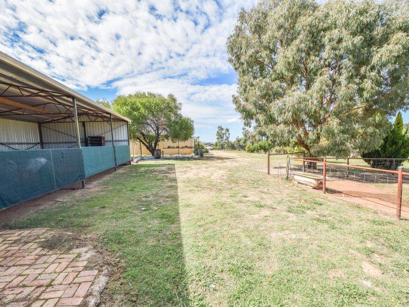 163 Prunvale Rd, YOUNG