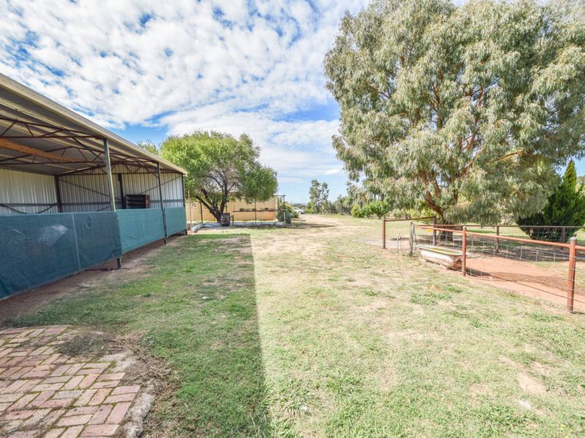 163 Prunvale Rd, YOUNG