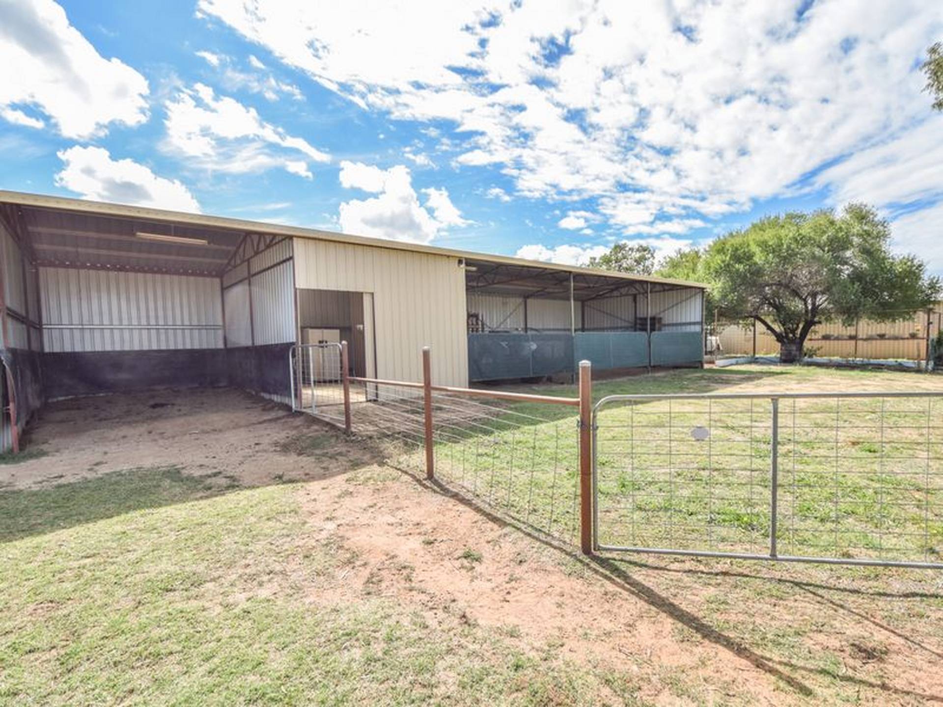 163 Prunvale Rd, YOUNG
