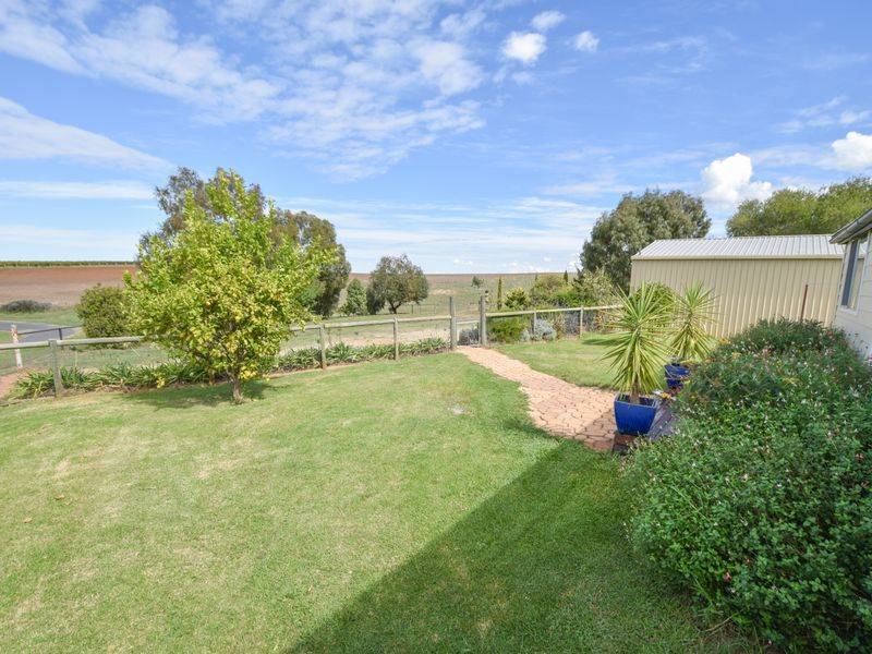 163 Prunvale Rd, YOUNG