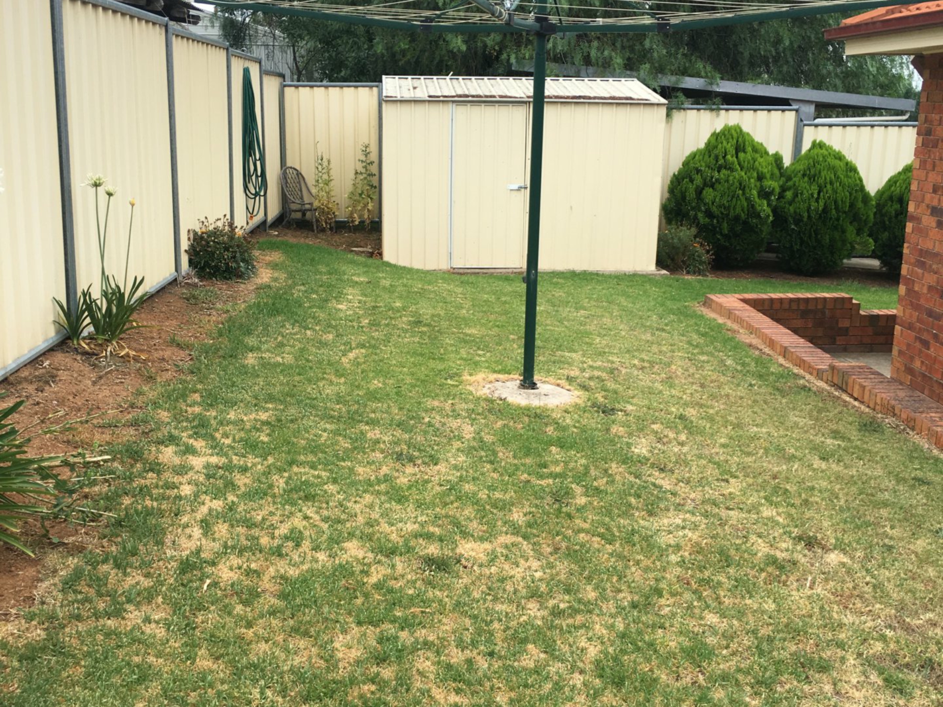 56B Caple Street, YOUNG