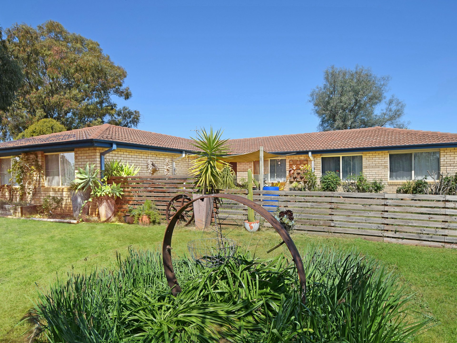 67 Windermere Street, Young