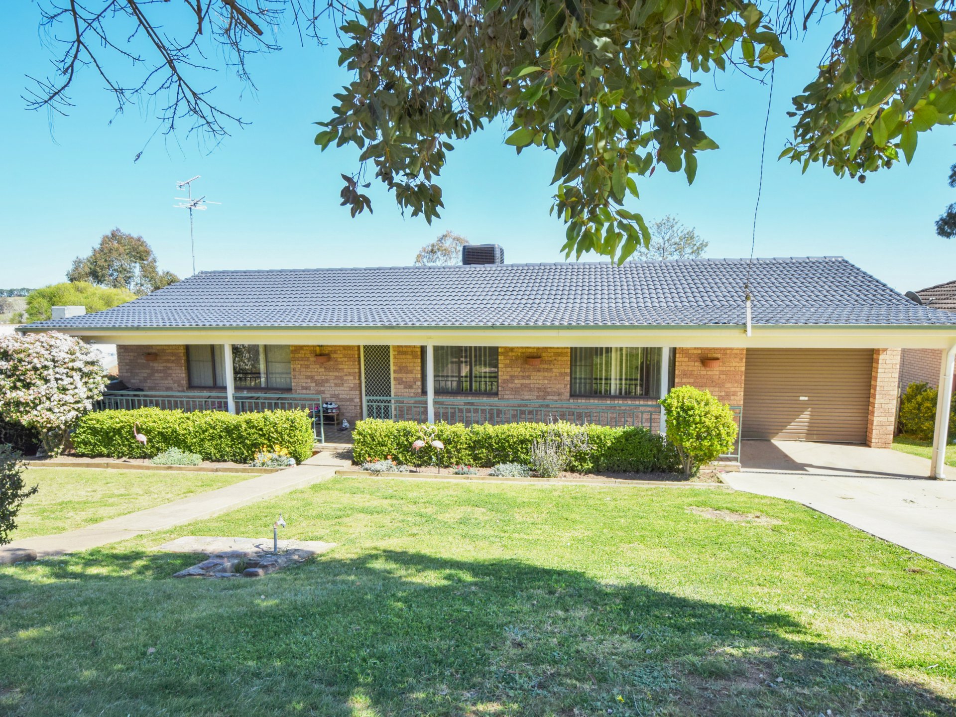 11 Milong Street, Young