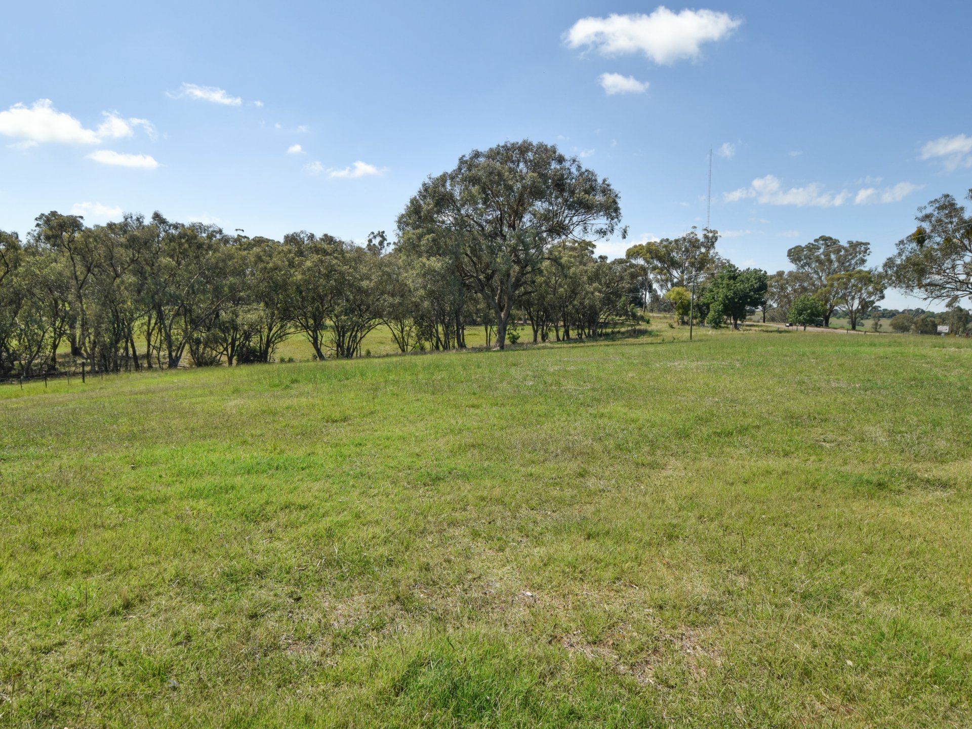 3290 Moppity Road, YOUNG