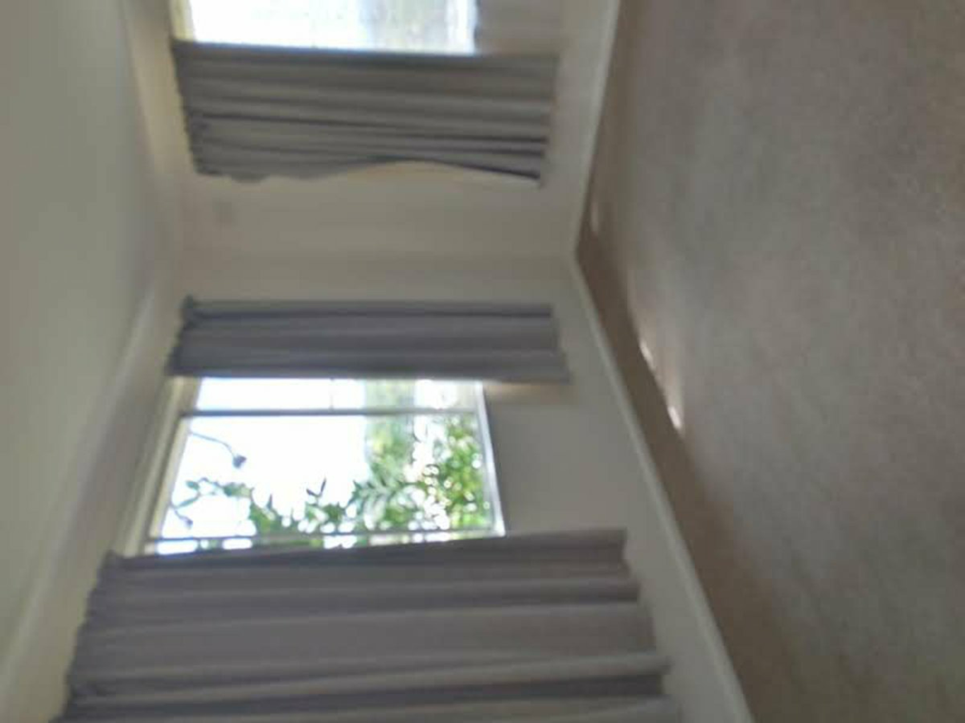 5 Lansdowne Street — photo 6 of 9