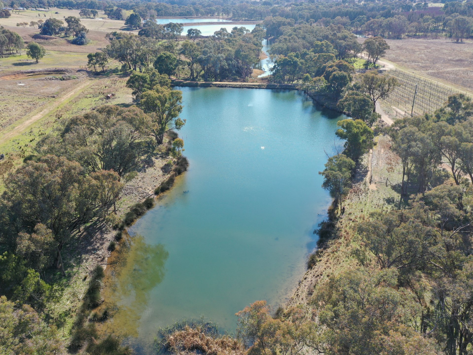 155 Tierneys Road, YOUNG