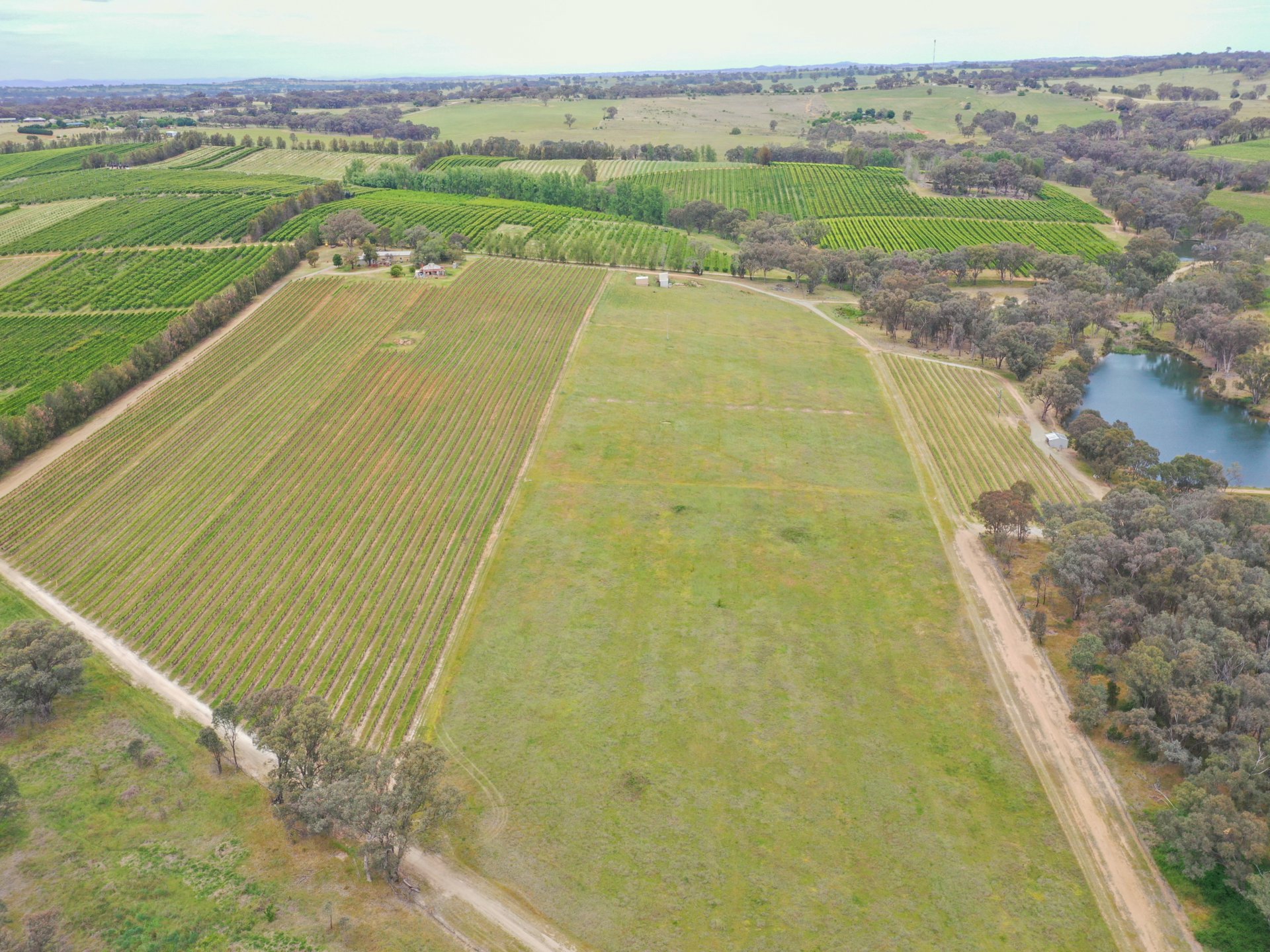 155 Tierneys Road, YOUNG