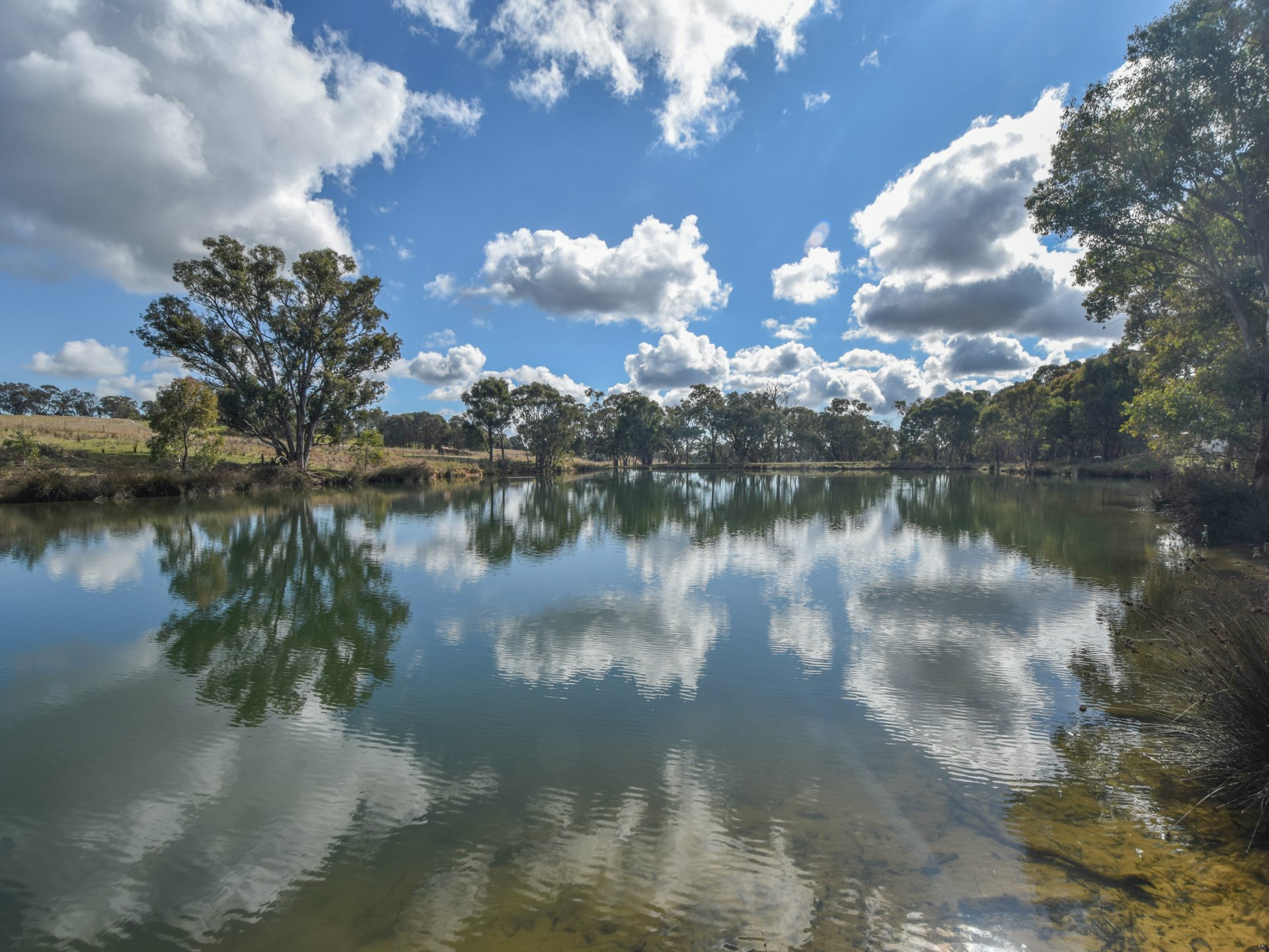 155 Tierneys Road, YOUNG
