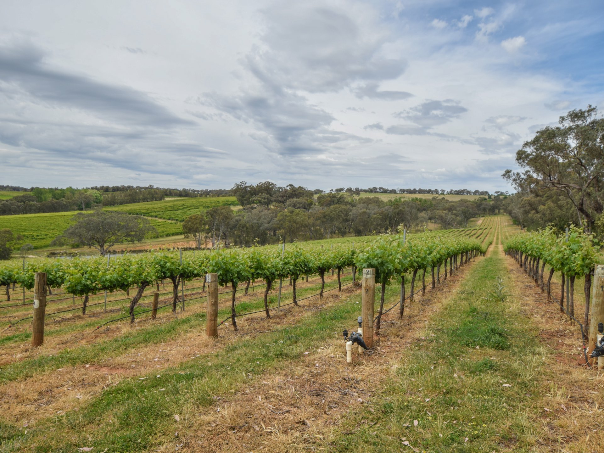 155 Tierneys Road, YOUNG