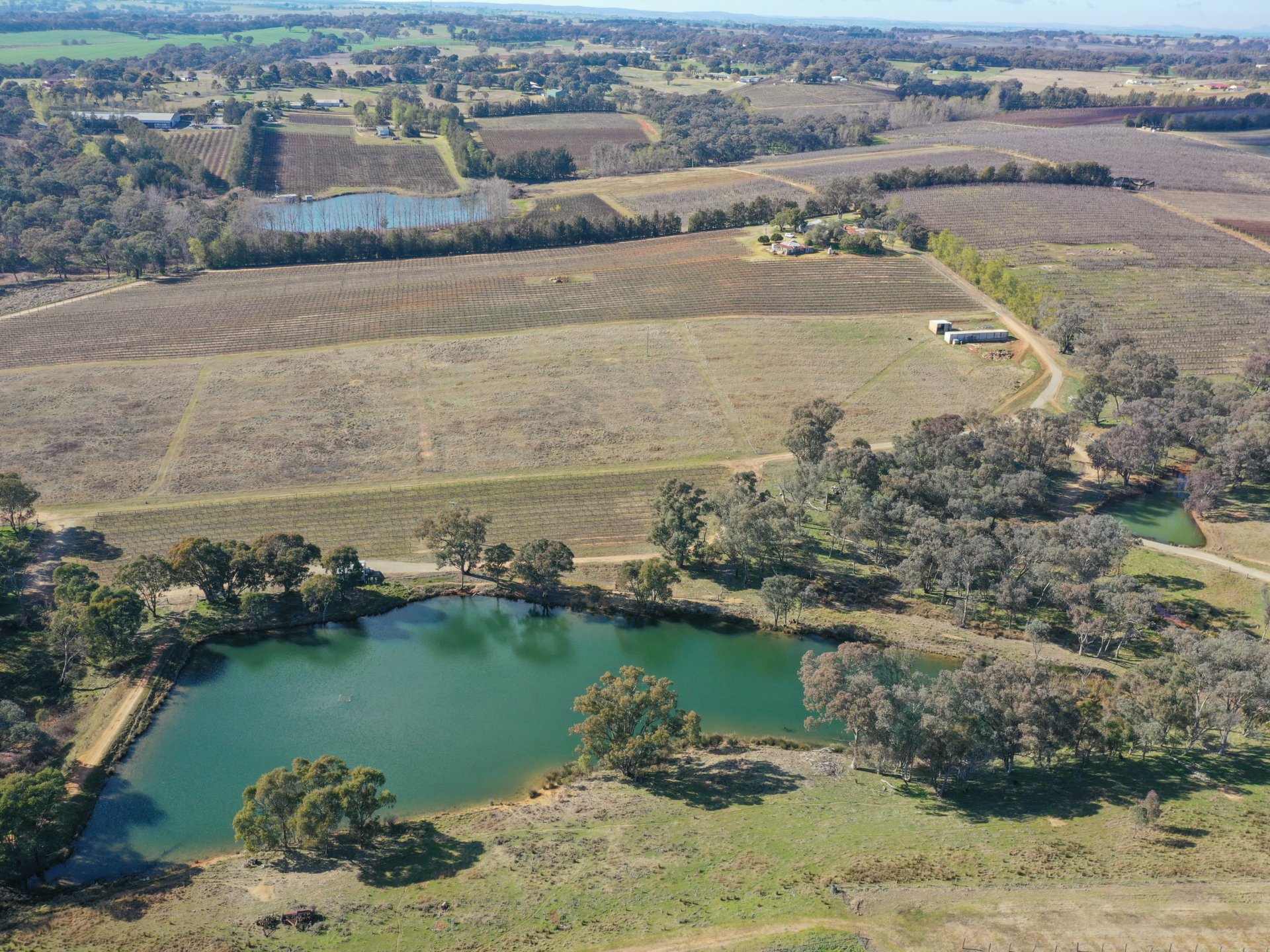 155 Tierneys Road, YOUNG