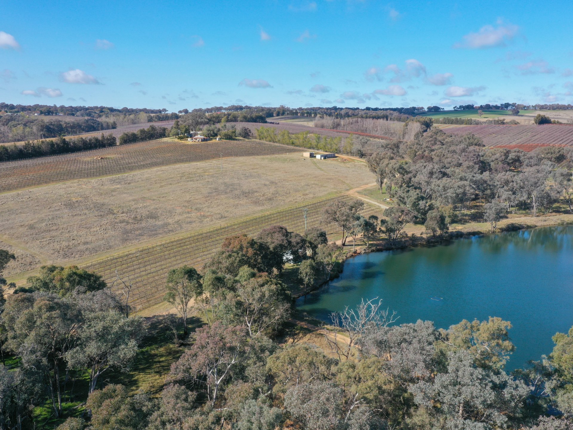 155 Tierneys Road, YOUNG