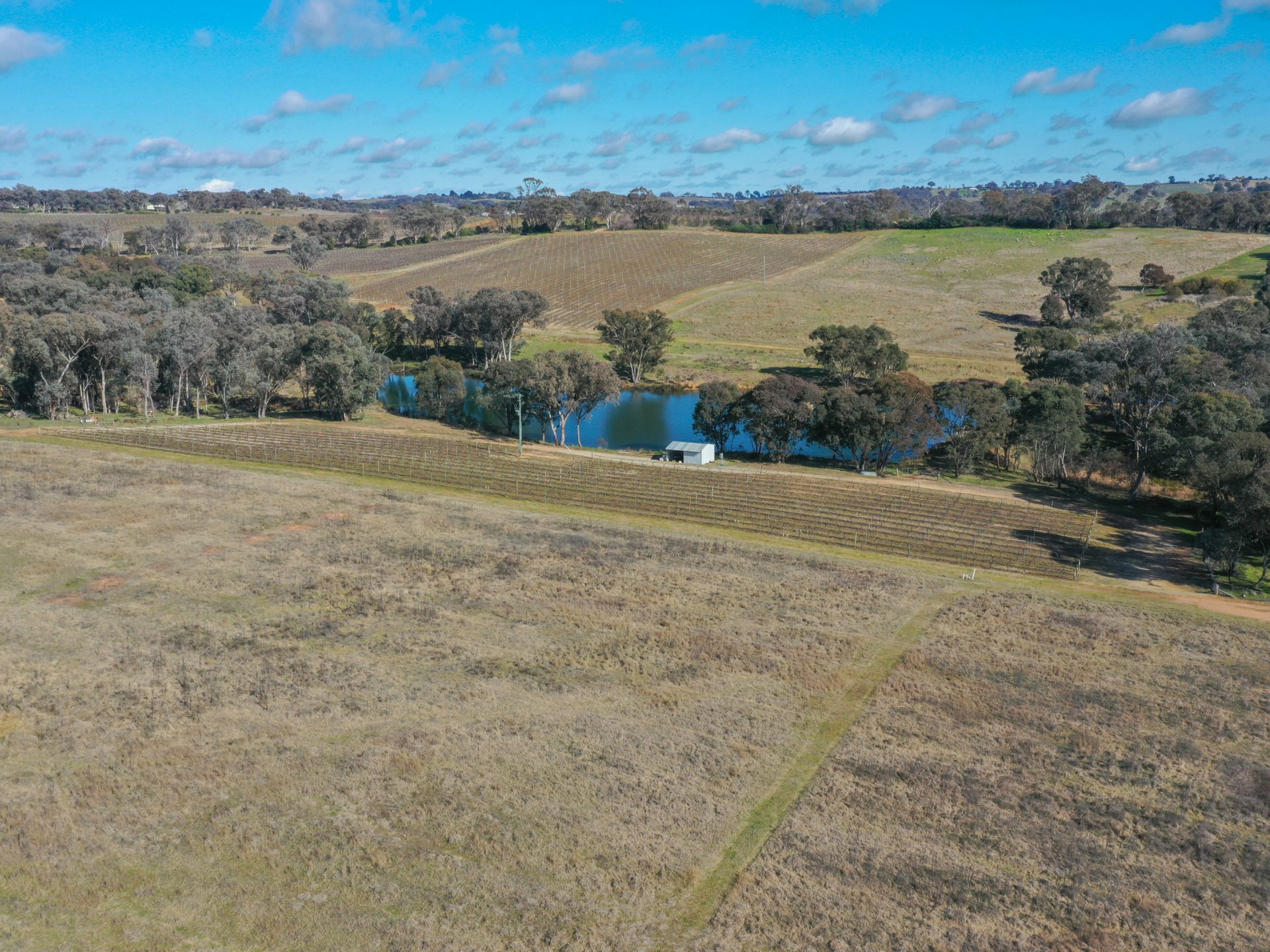 155 Tierneys Road, YOUNG