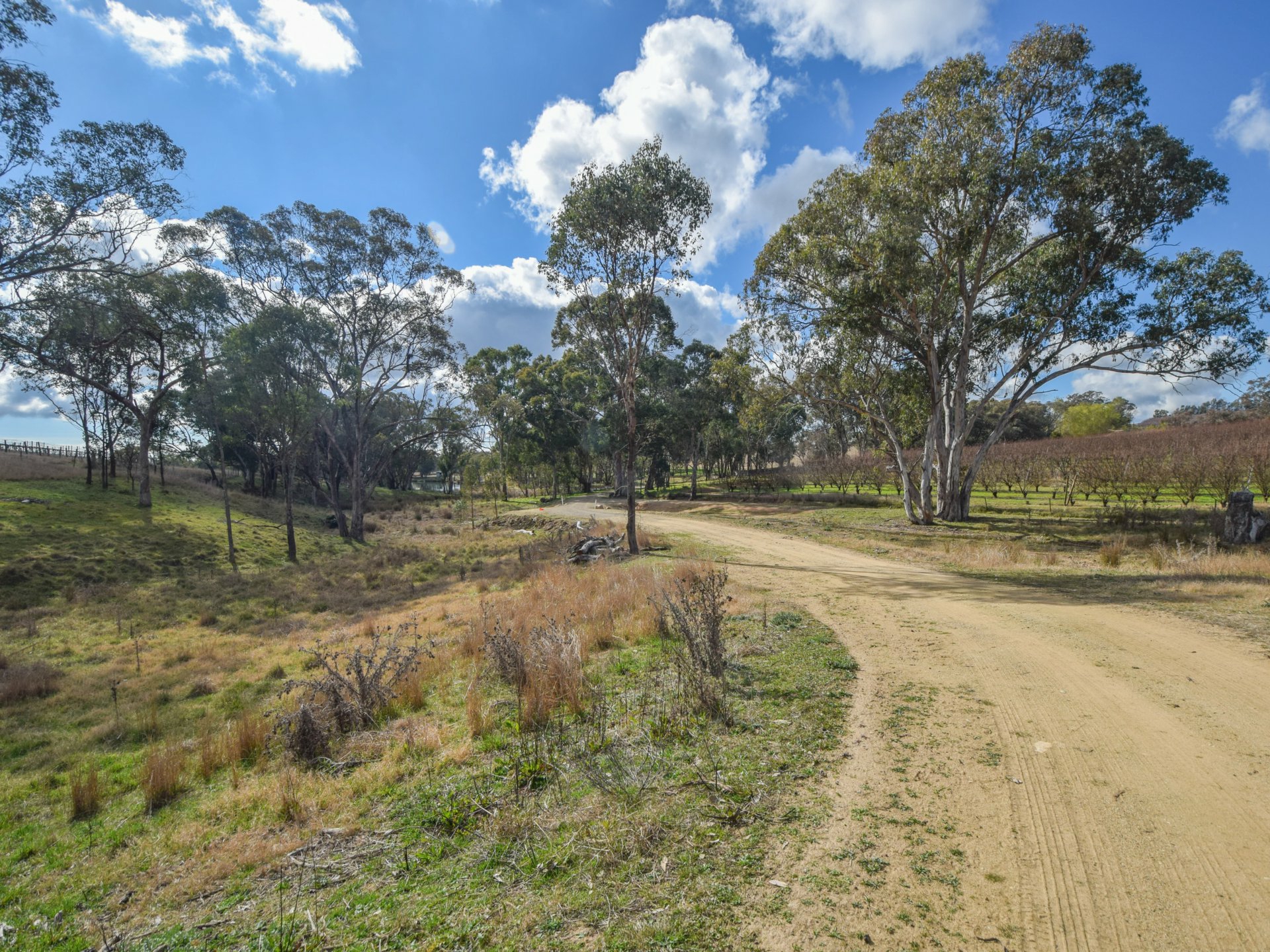 155 Tierneys Road, YOUNG