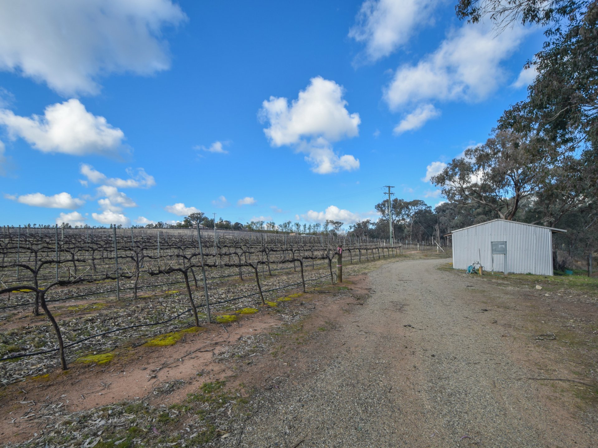 155 Tierneys Road, YOUNG