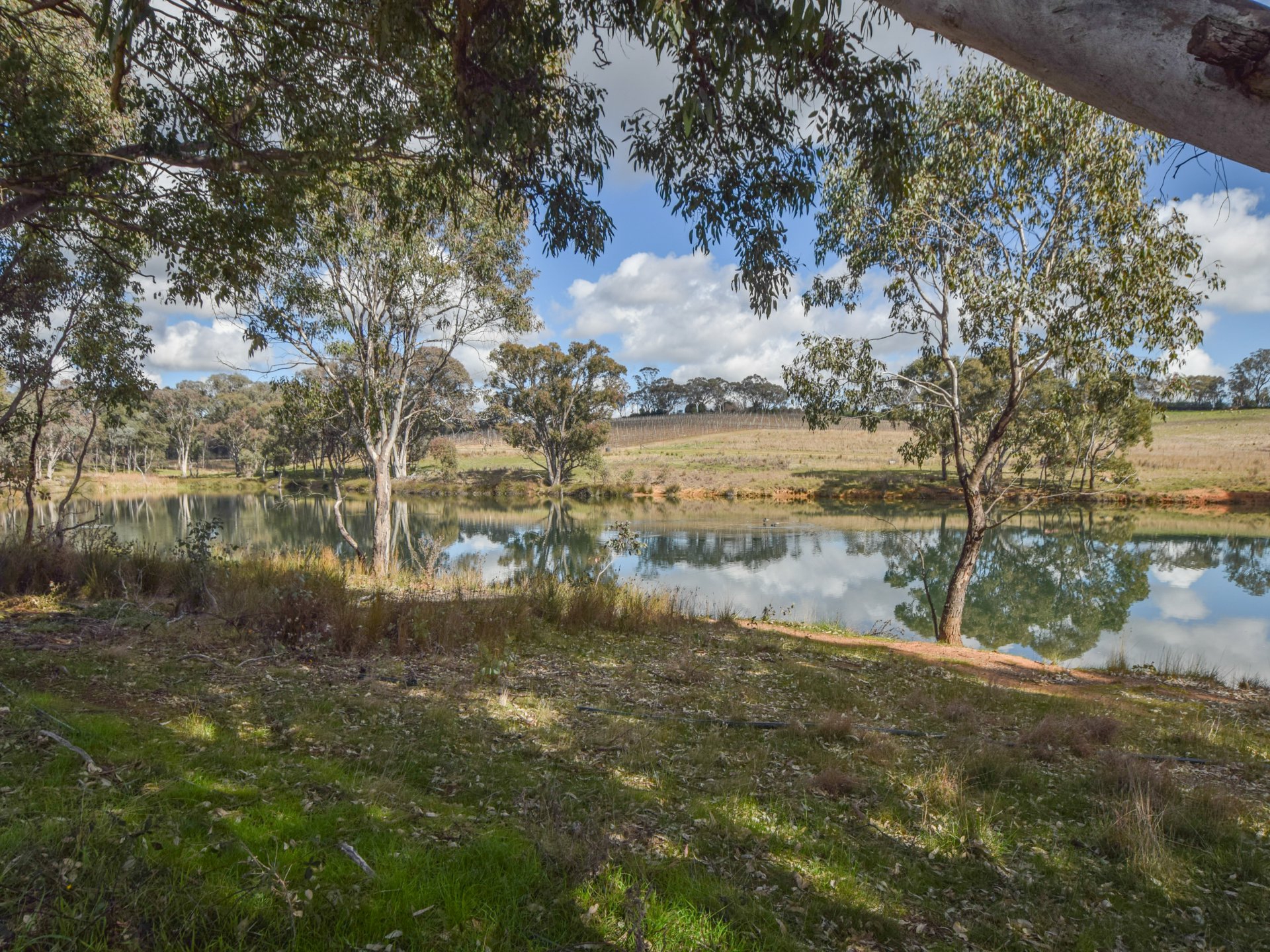 155 Tierneys Road, YOUNG